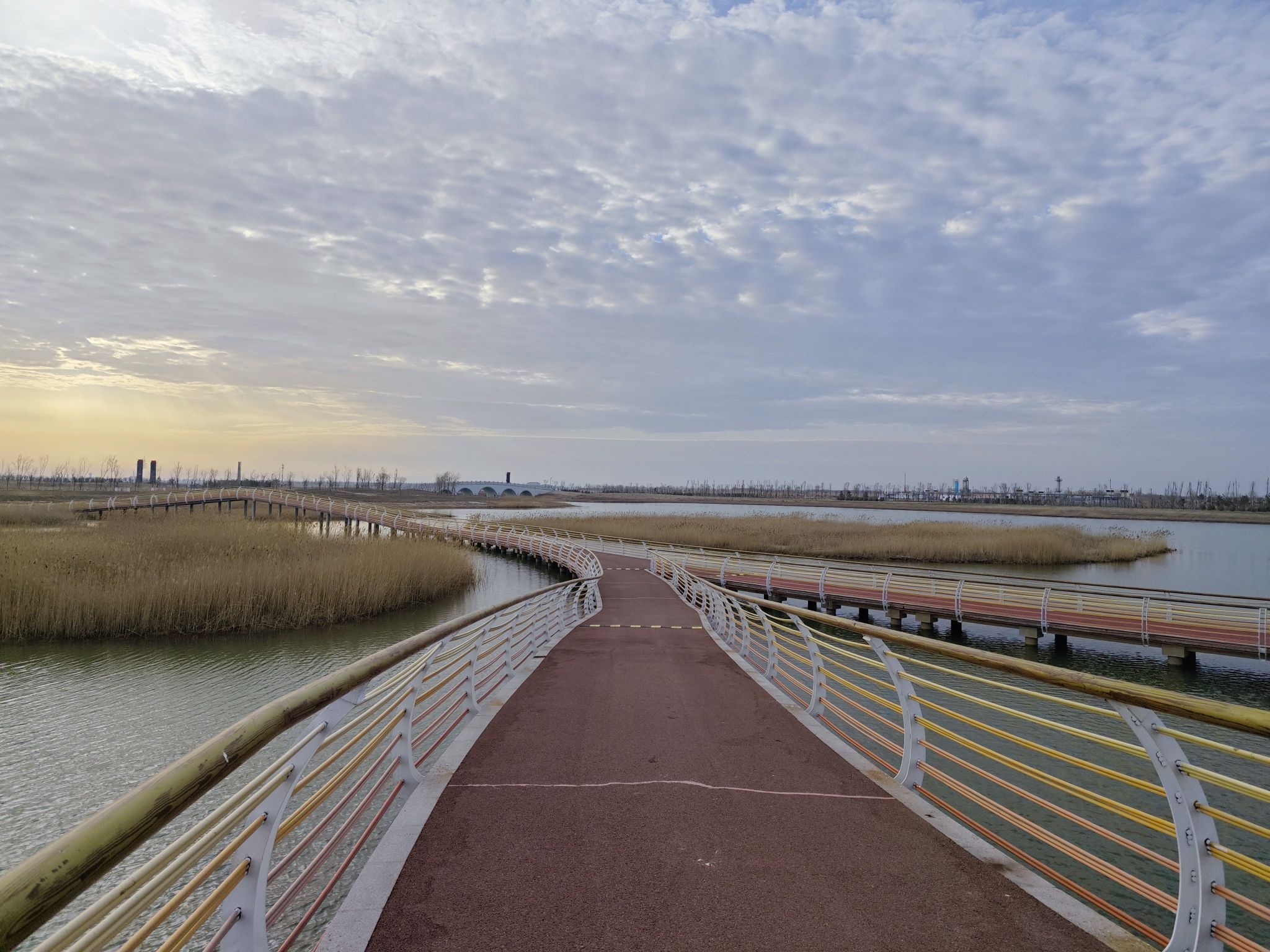 东营市天鹅湖蓄滞洪湿地东广场旅行图片 2