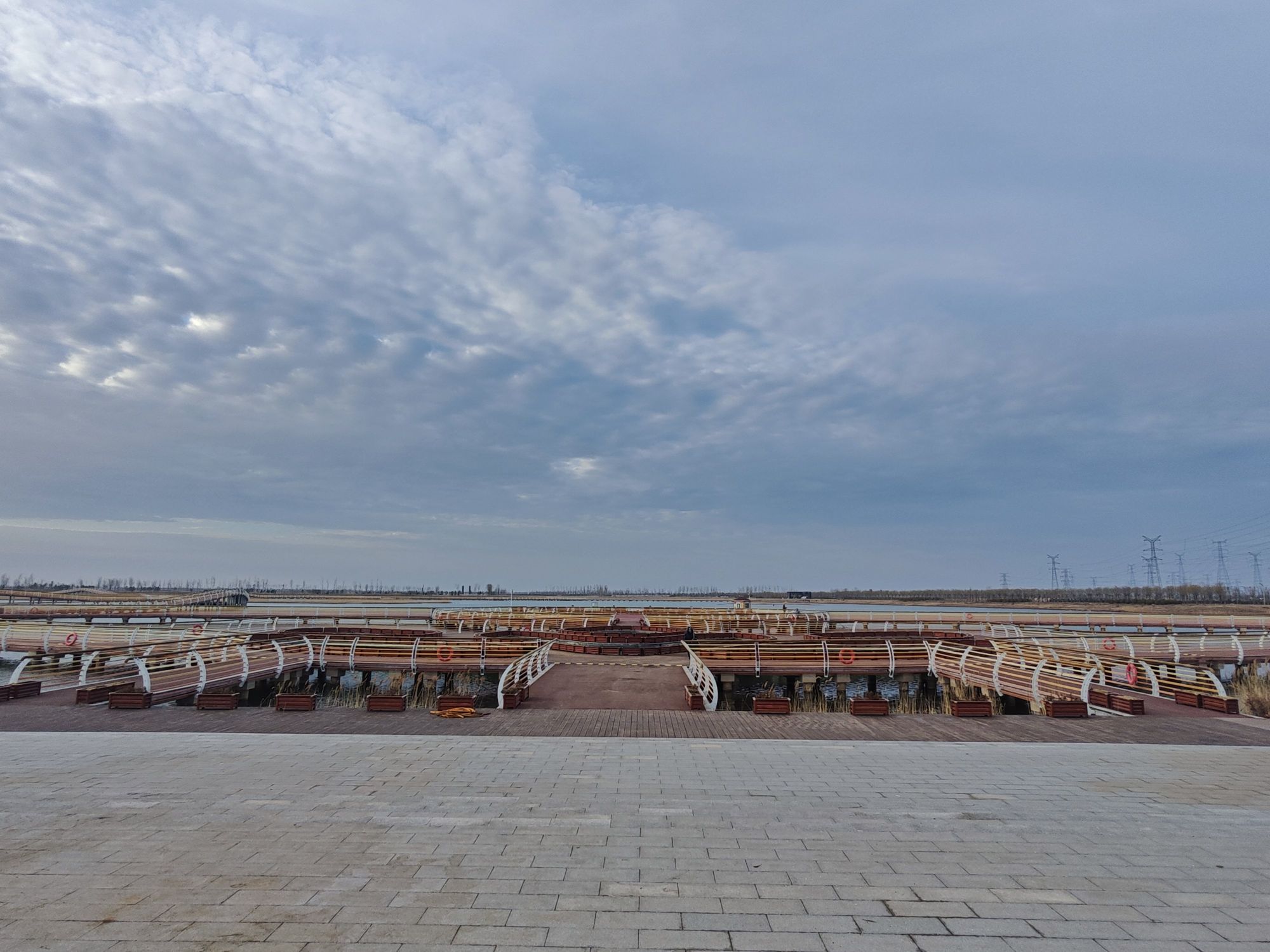 东营市天鹅湖蓄滞洪湿地东广场旅行图片 3