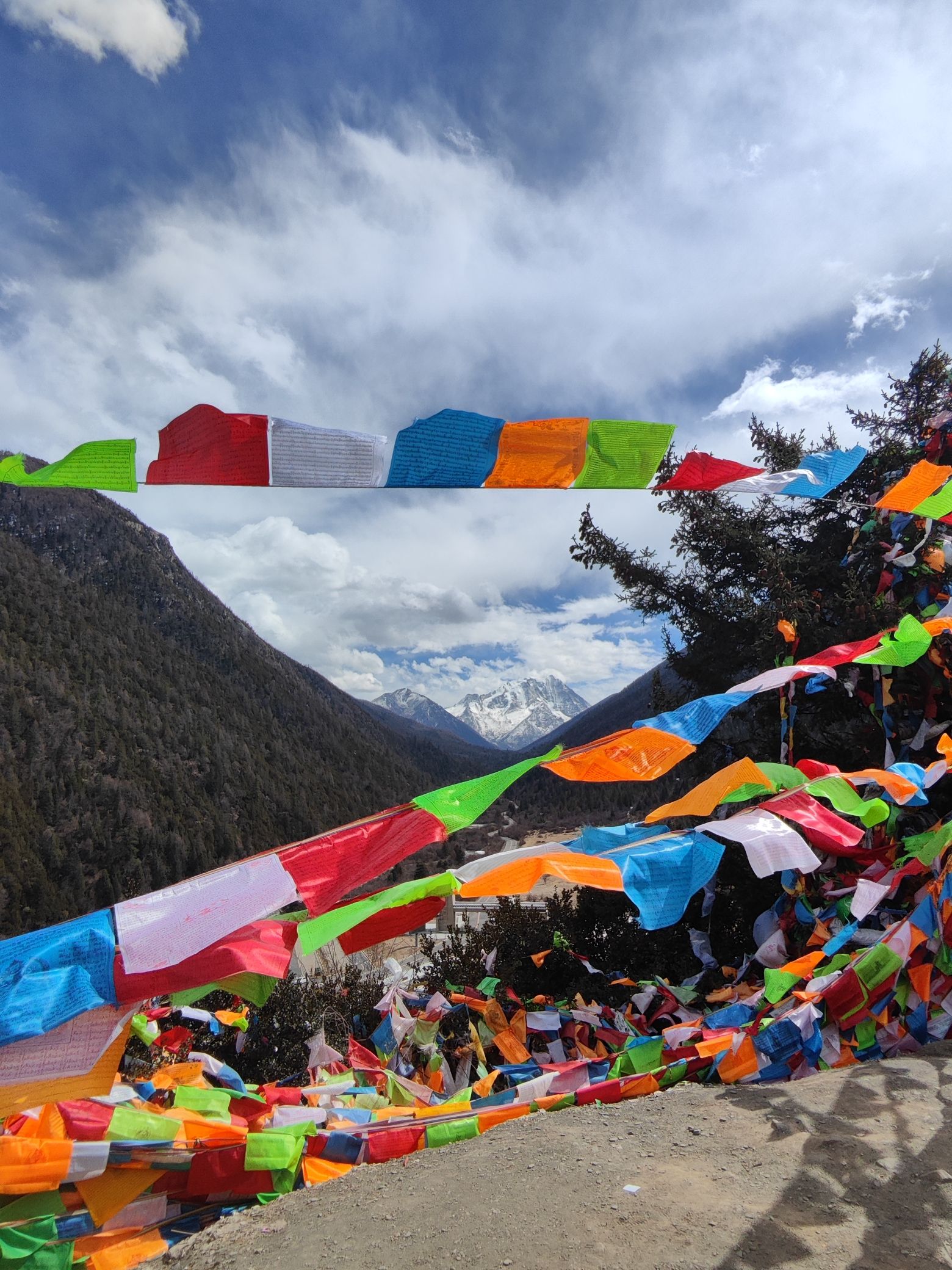 亚拉雪山观景台旅行图片 3
