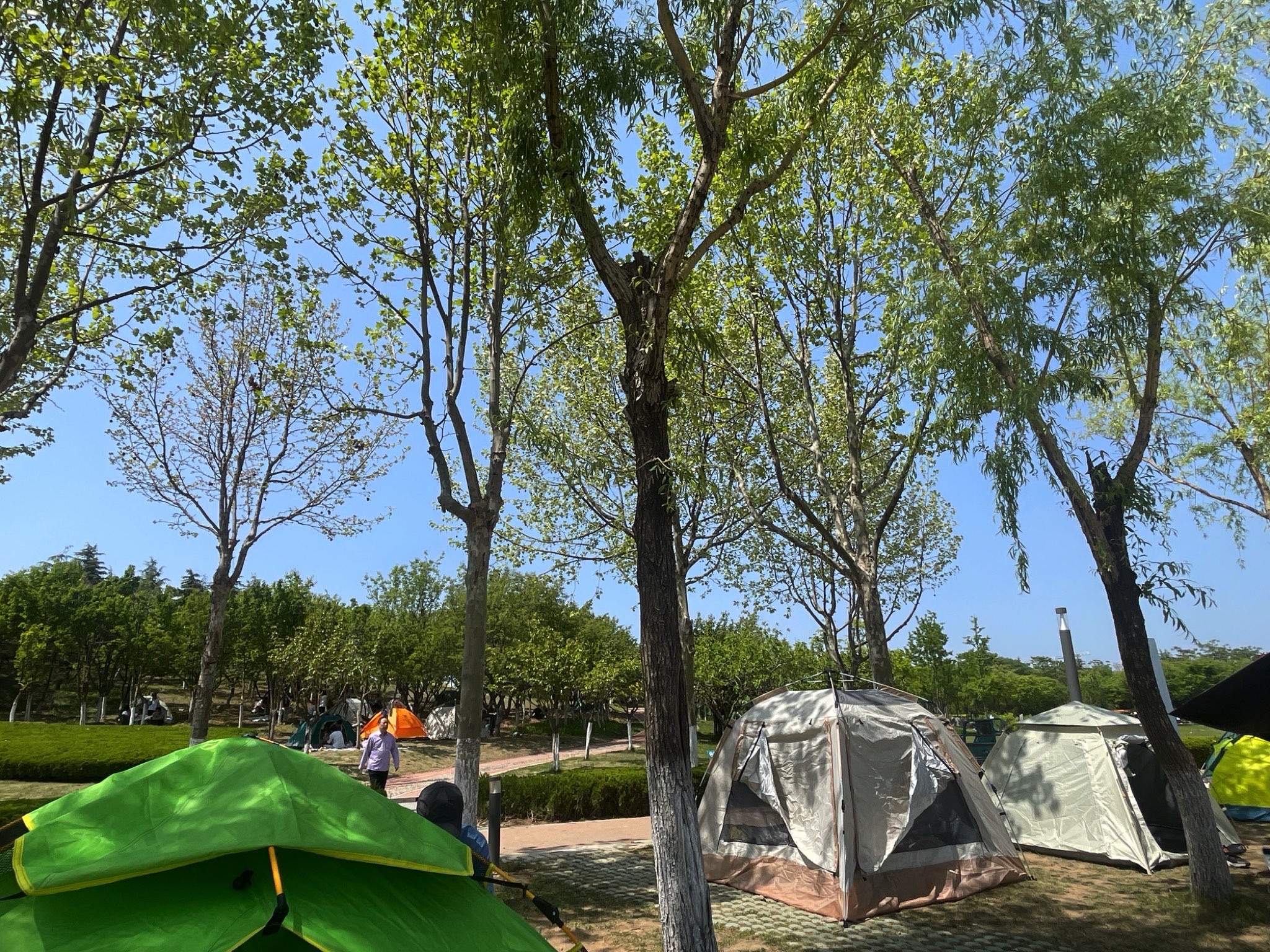 如意湖公园旅行图片 2