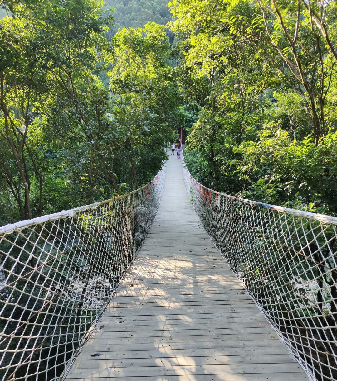 牛仙谷森林海温泉度假区旅行图片 1