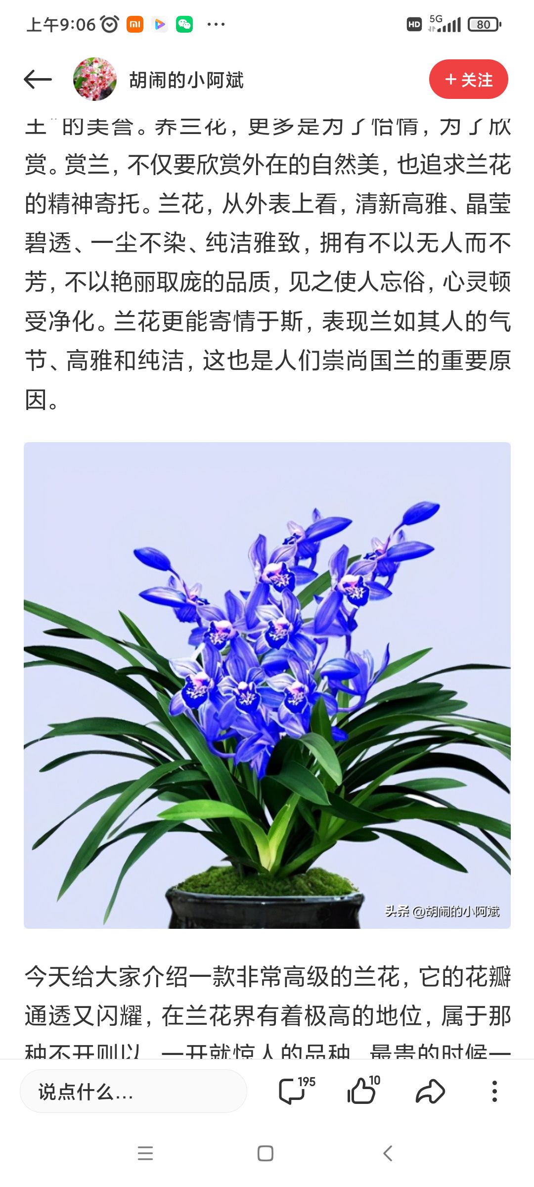 酒乡花谷风景区旅行图片 1