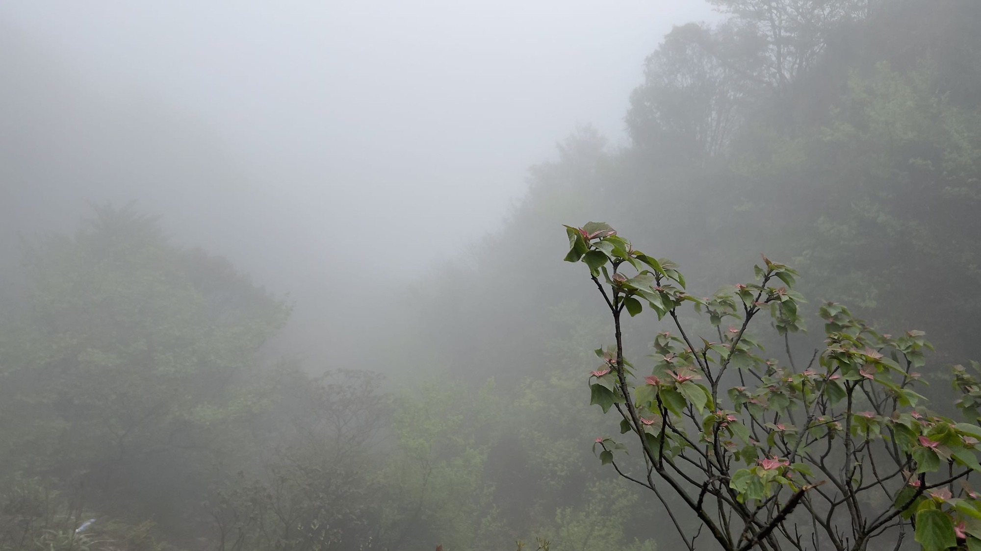 炮台岗烽火台旅行图片 2