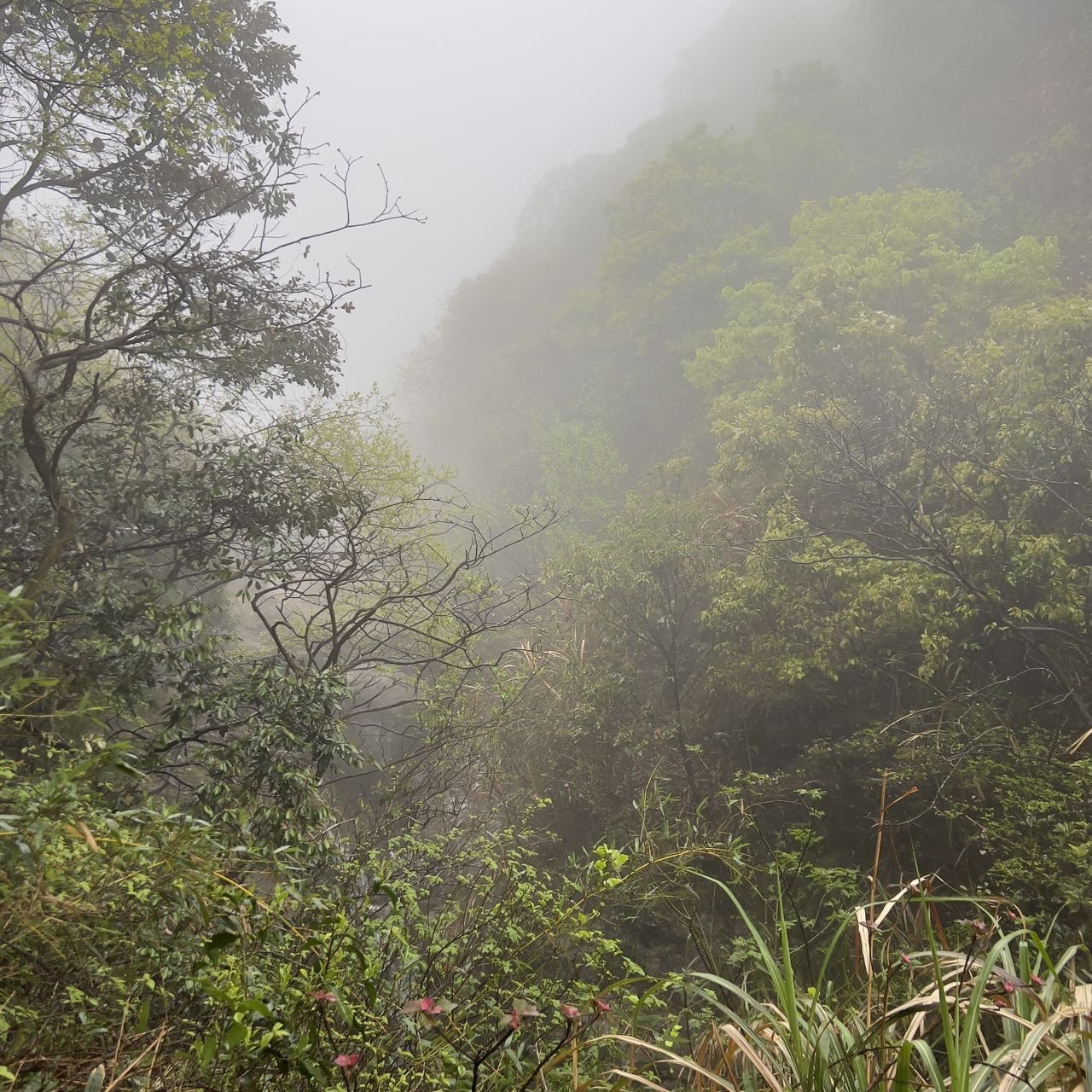 炮台岗烽火台旅行图片 3
