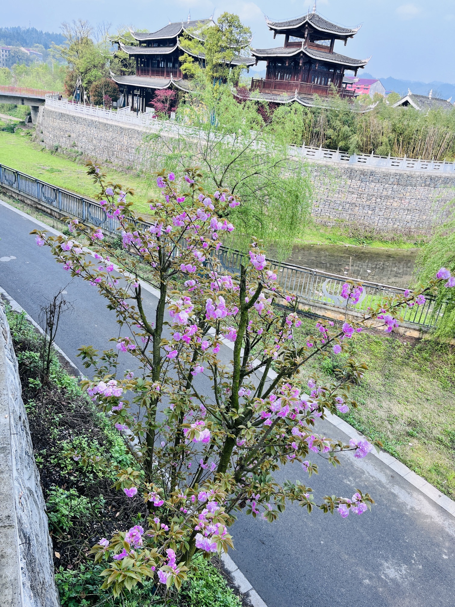 邦洞半岛公园