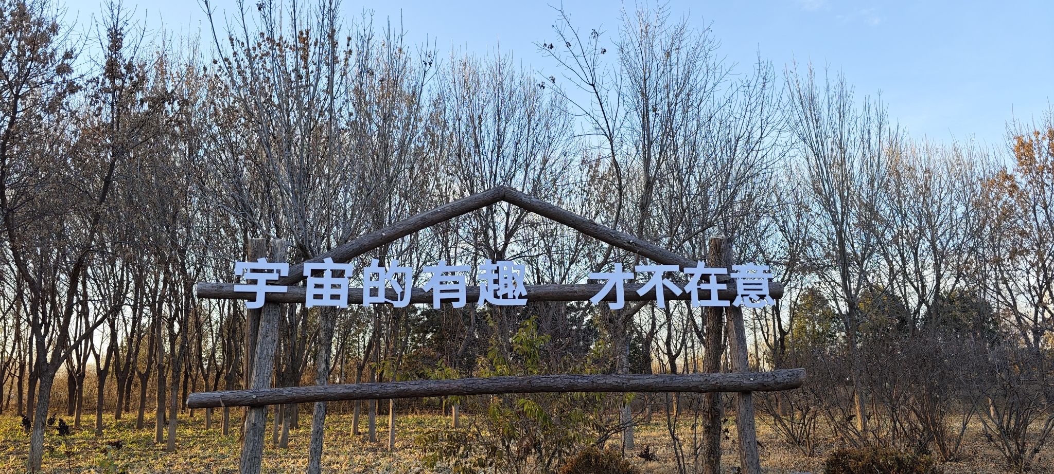 西集公园旅行图片 2