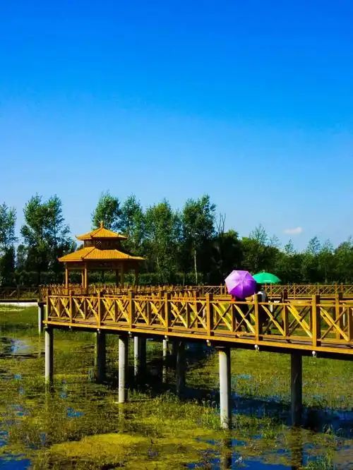 西集公园旅行图片 2