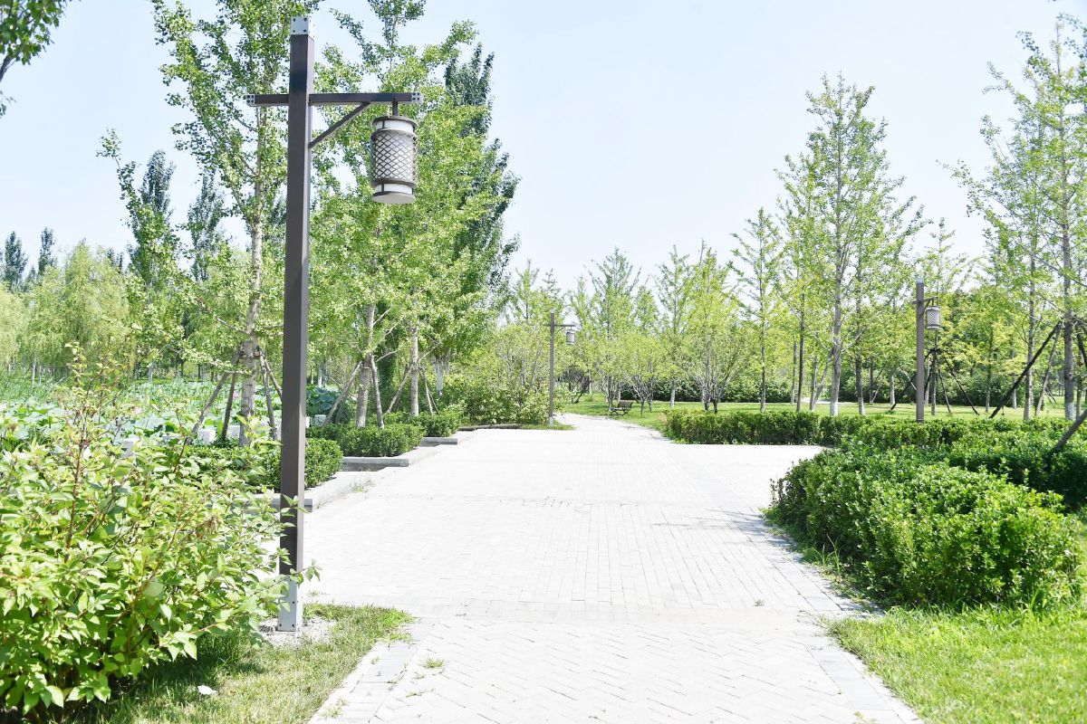 西集公园旅行图片 3