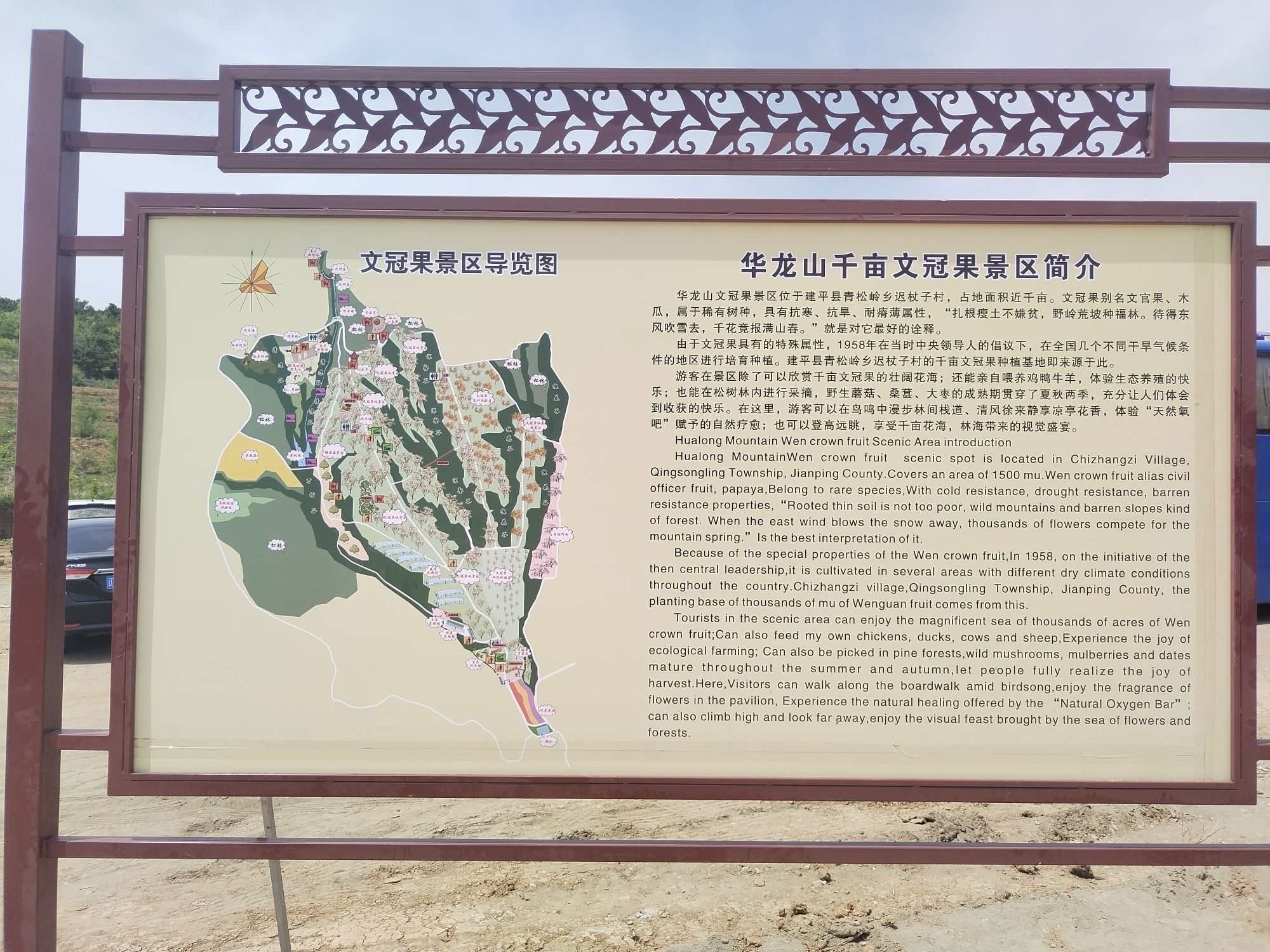 青松岭乡迟杖子村文冠果花海旅行图片 1