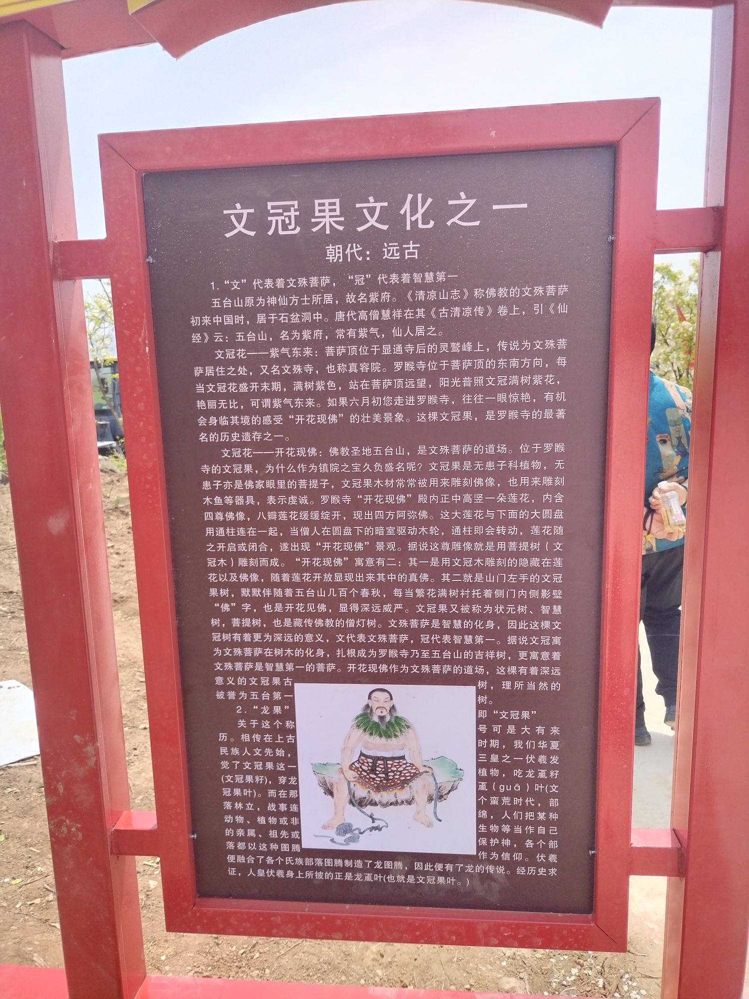 青松岭乡迟杖子村文冠果花海旅行图片 2