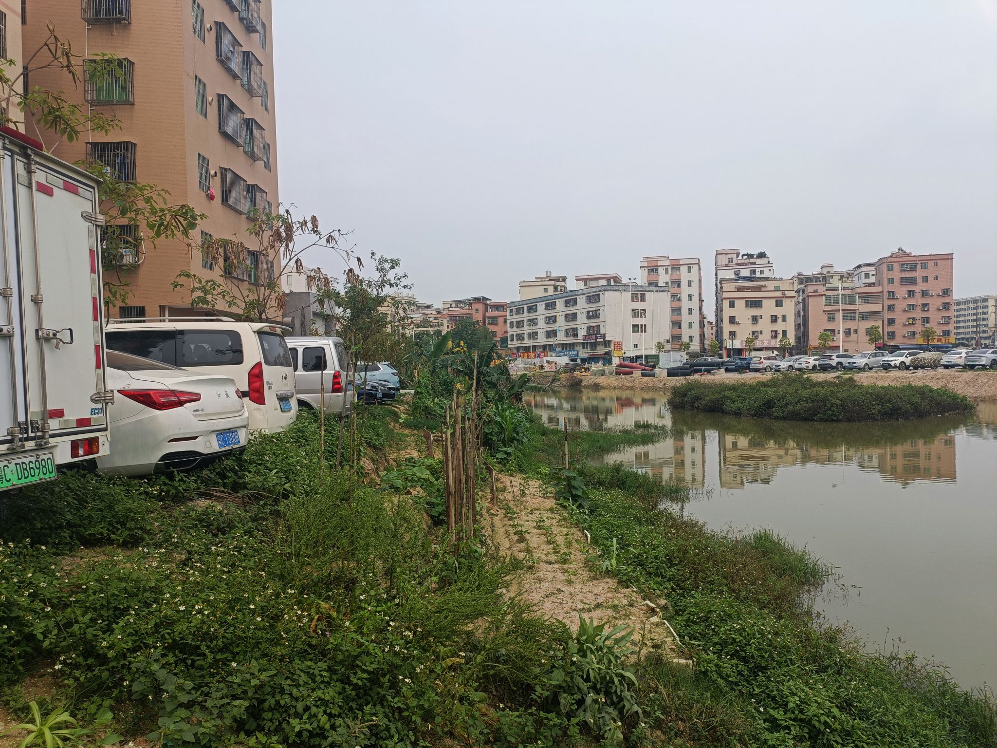 西埔公园旅行图片 3