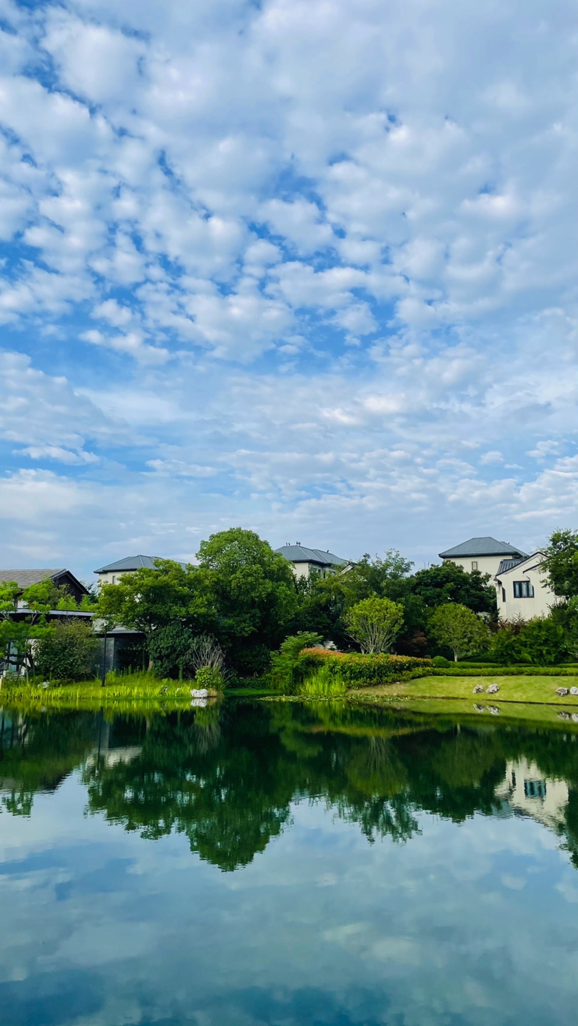 南京固城湾景区旅行图片 3