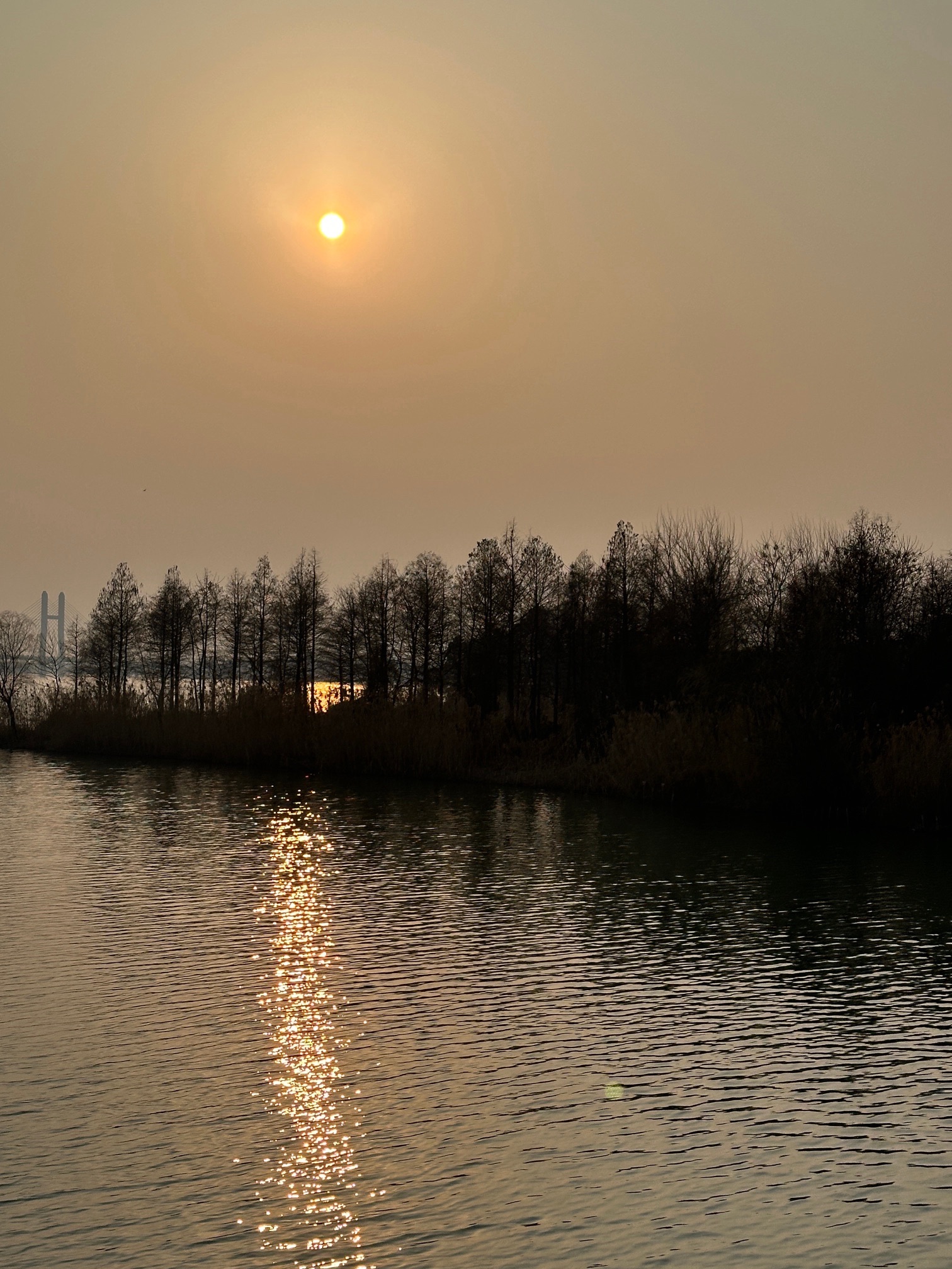 南京固城湾景区旅行图片 2