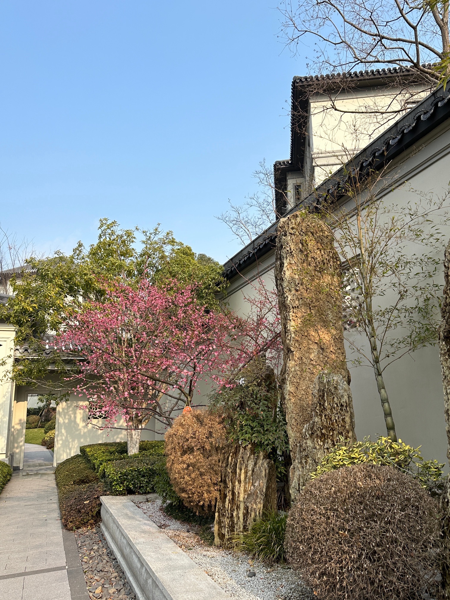 南京固城湾景区旅行图片 3