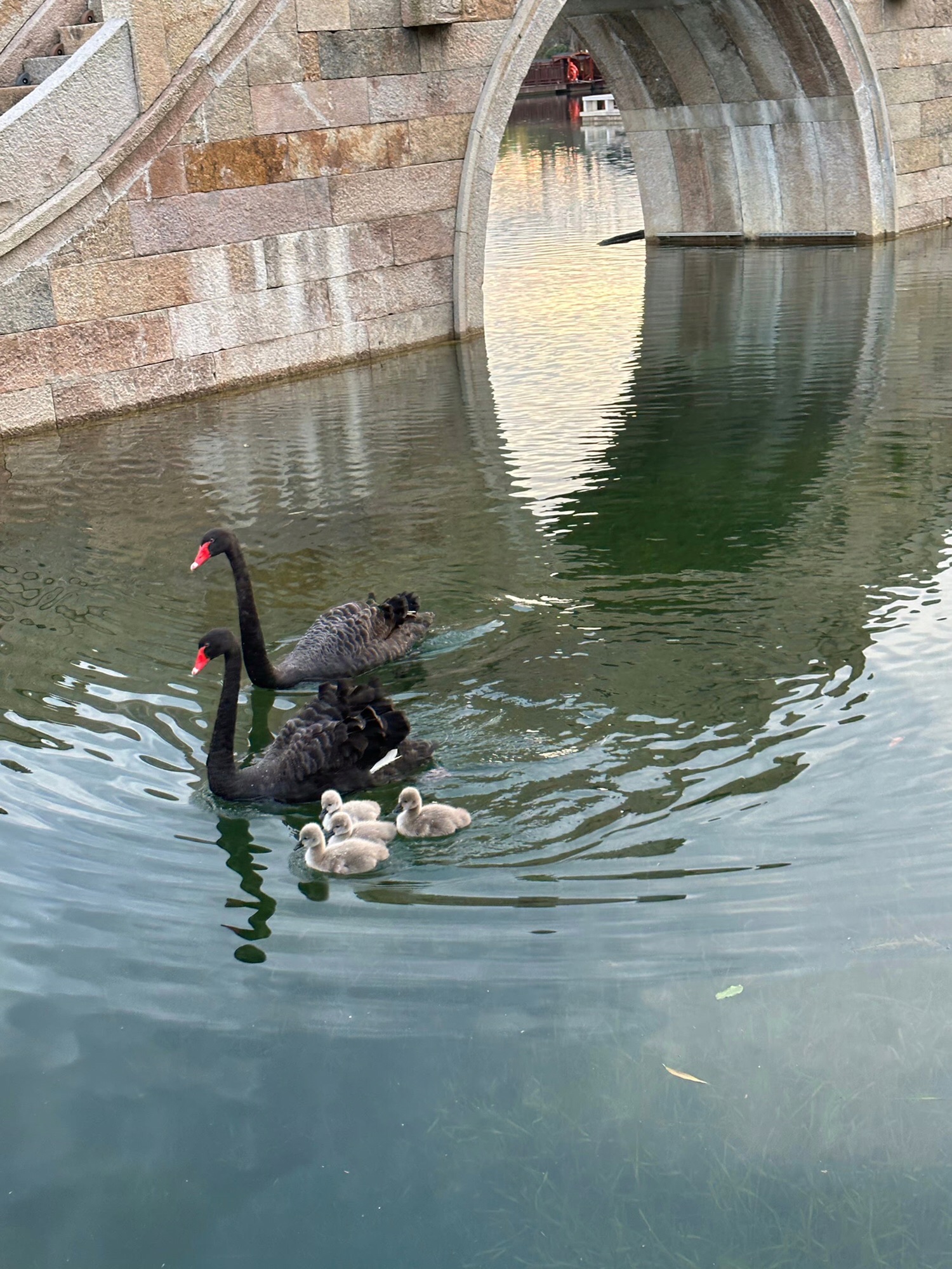 南京固城湾景区旅行图片 3