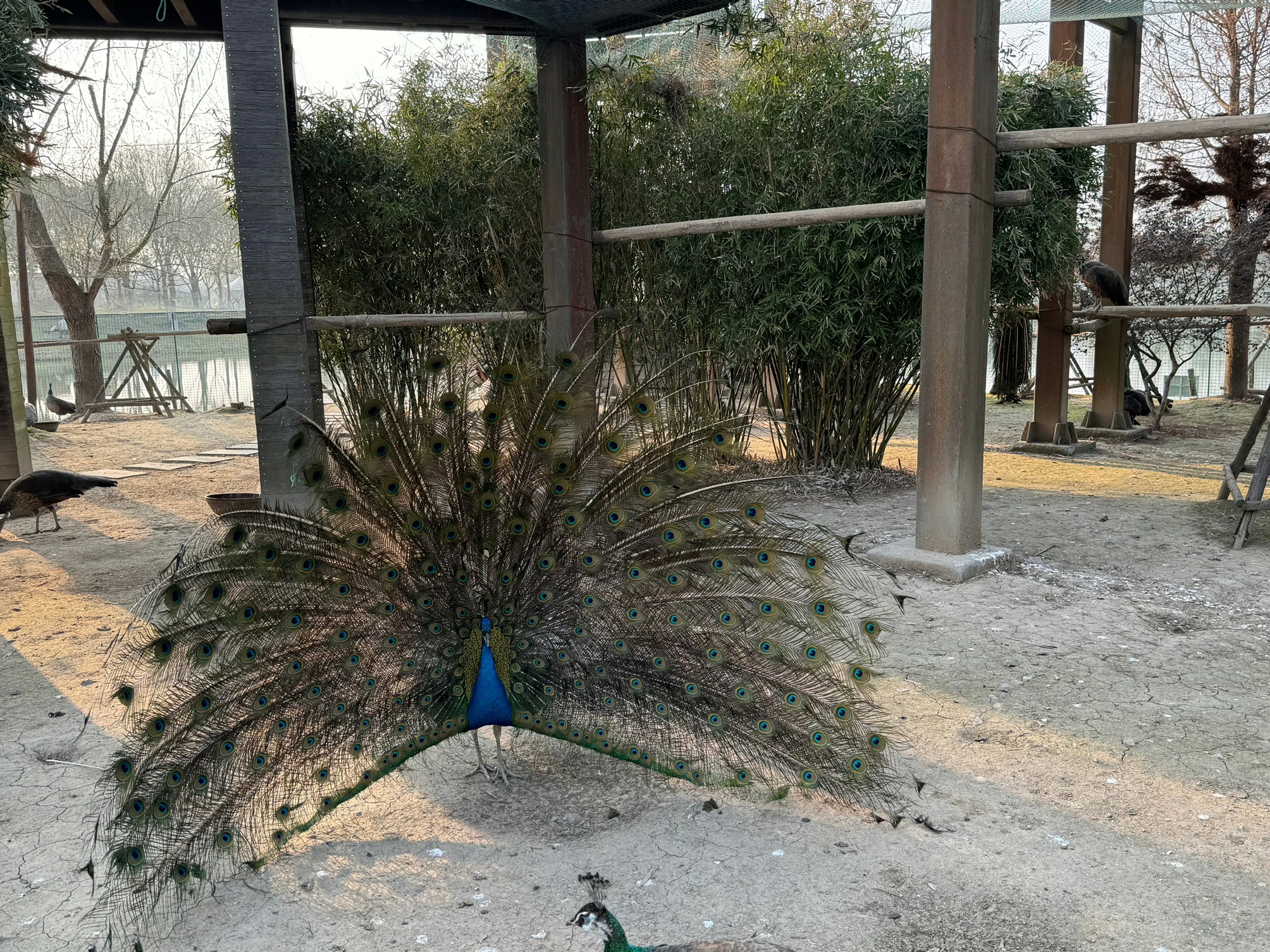 南京固城湾景区旅行图片 1