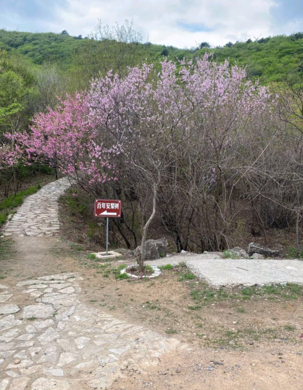 情人谷旅行图片 1