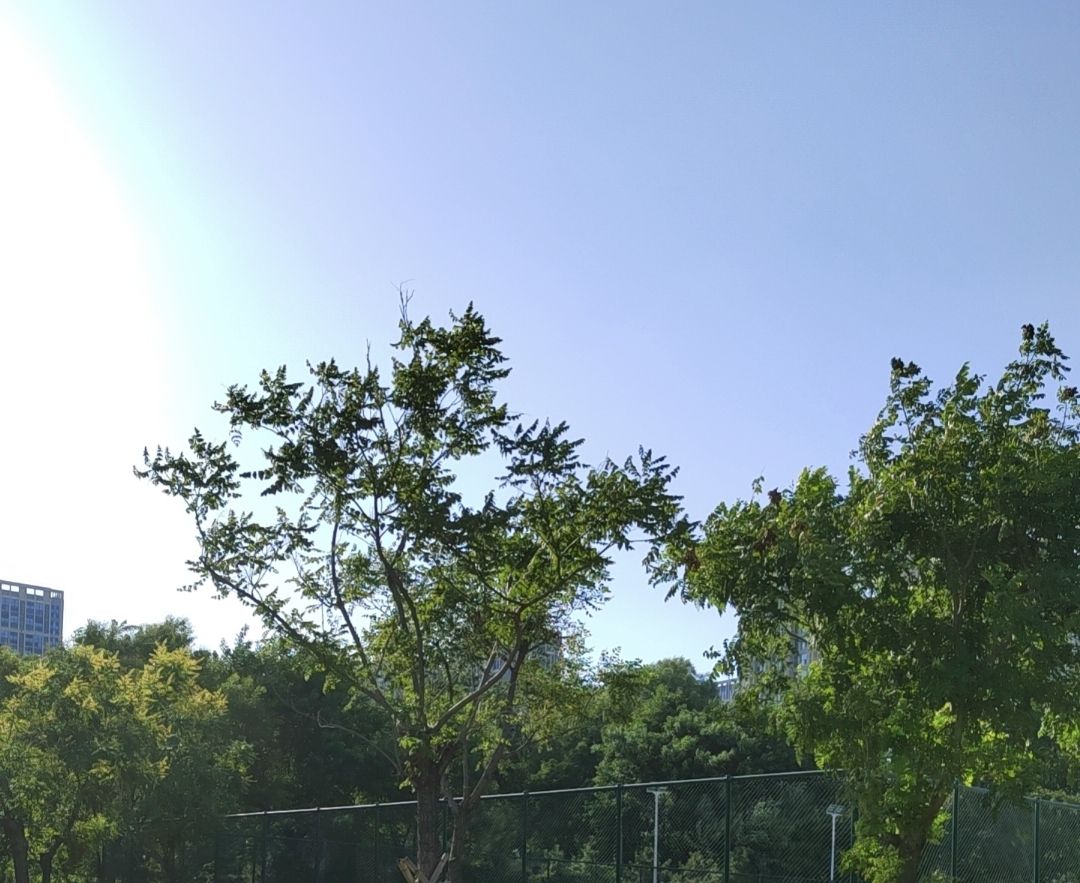 上岸便民健身运动公园旅行图片 2