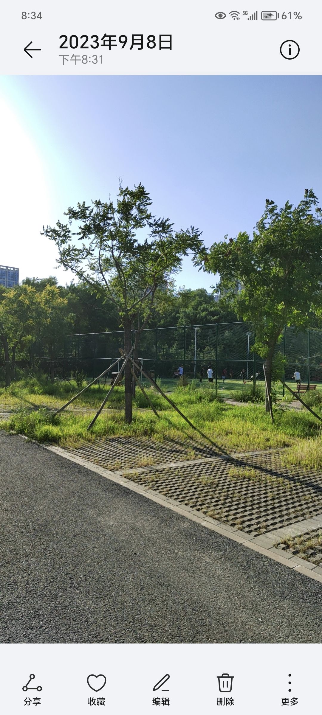 上岸便民健身运动公园旅行图片 3
