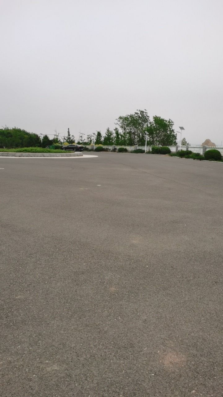 普兰店西山公园旅行图片 2