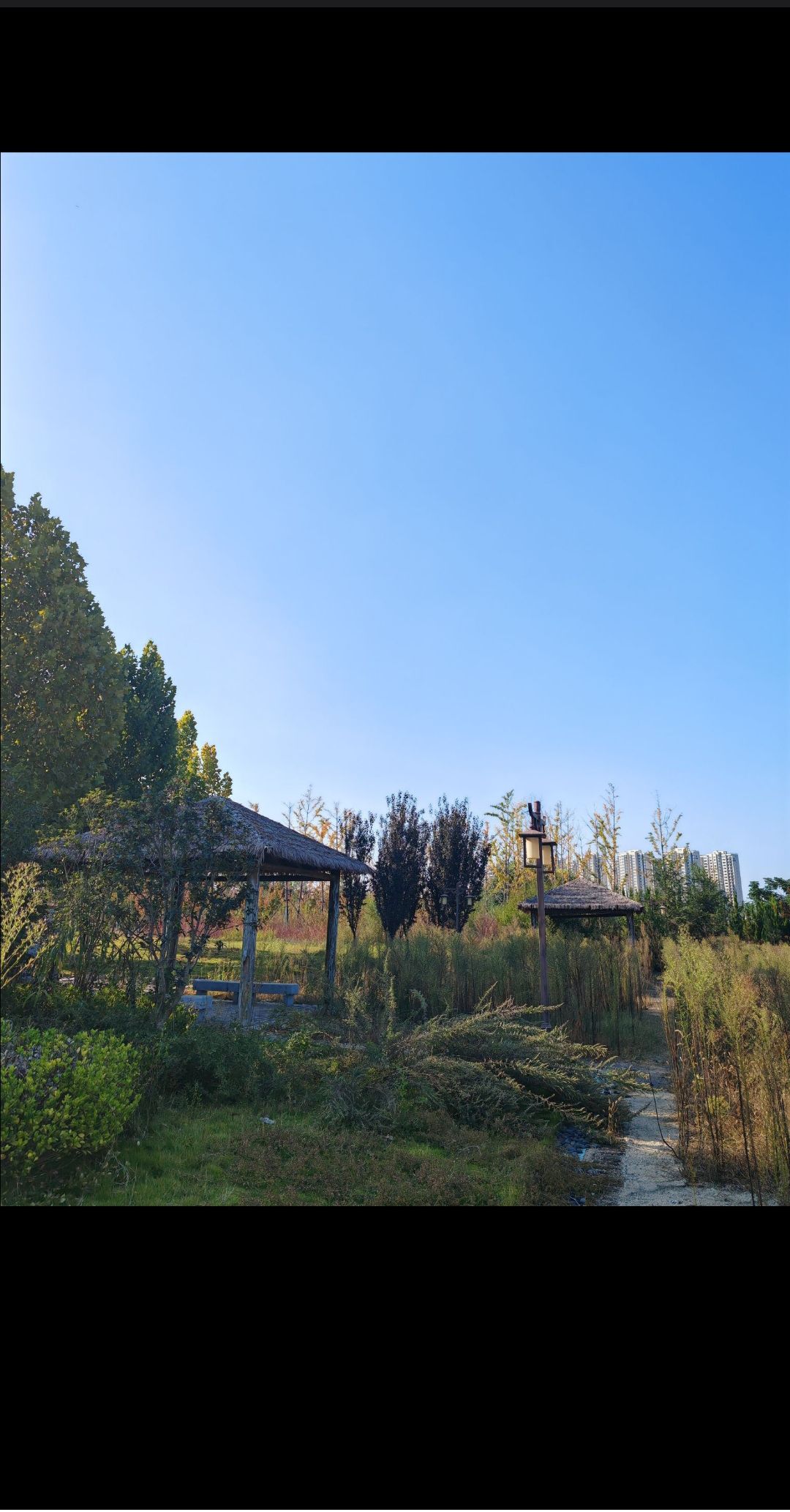 马庄遗址公园旅行图片 1