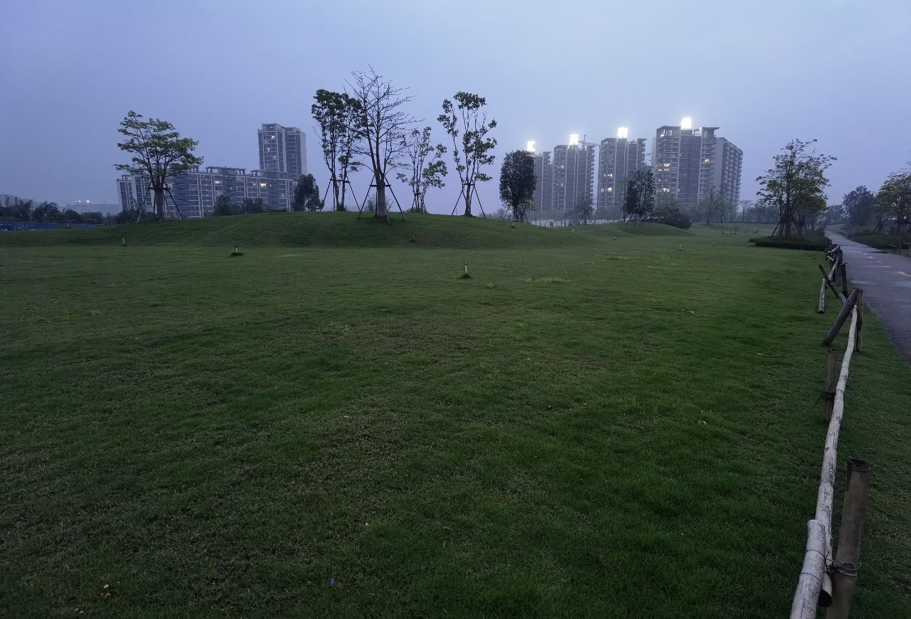 保利天御·滨江森林公园旅行图片 3