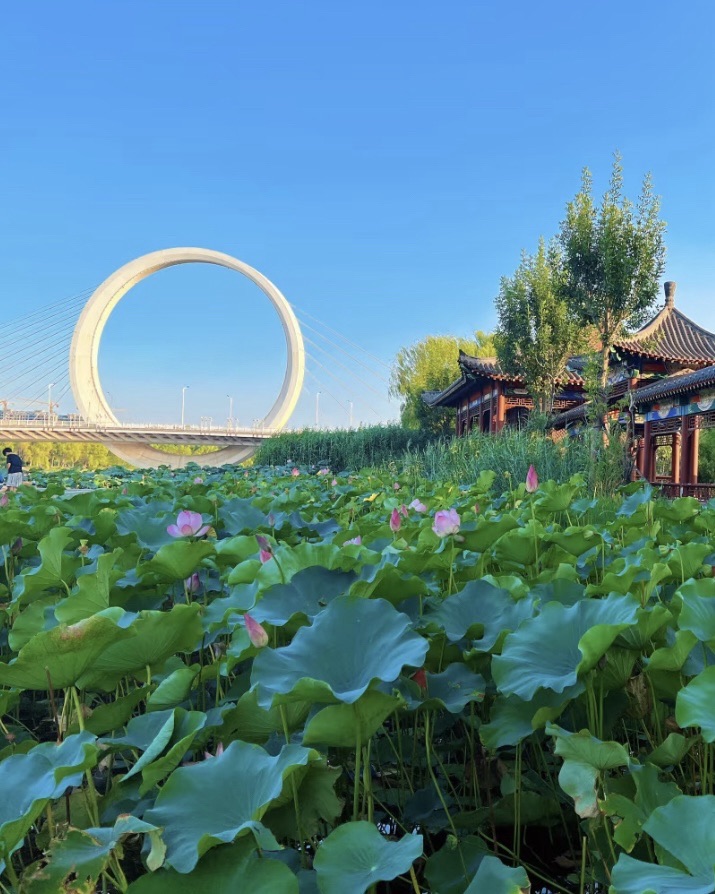 郑州蝶湖森林公园