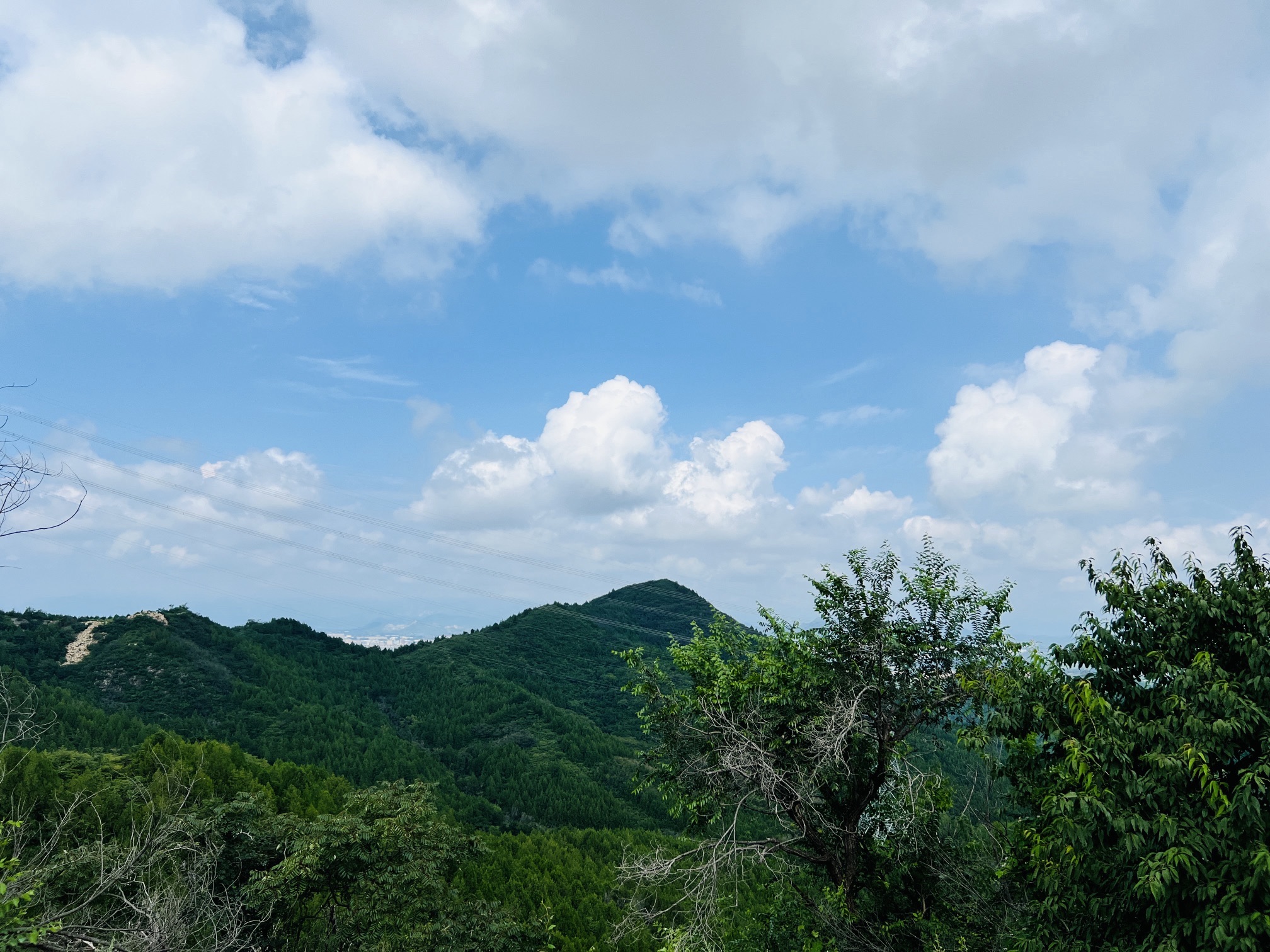 东邵渠镇观景台旅行图片 1