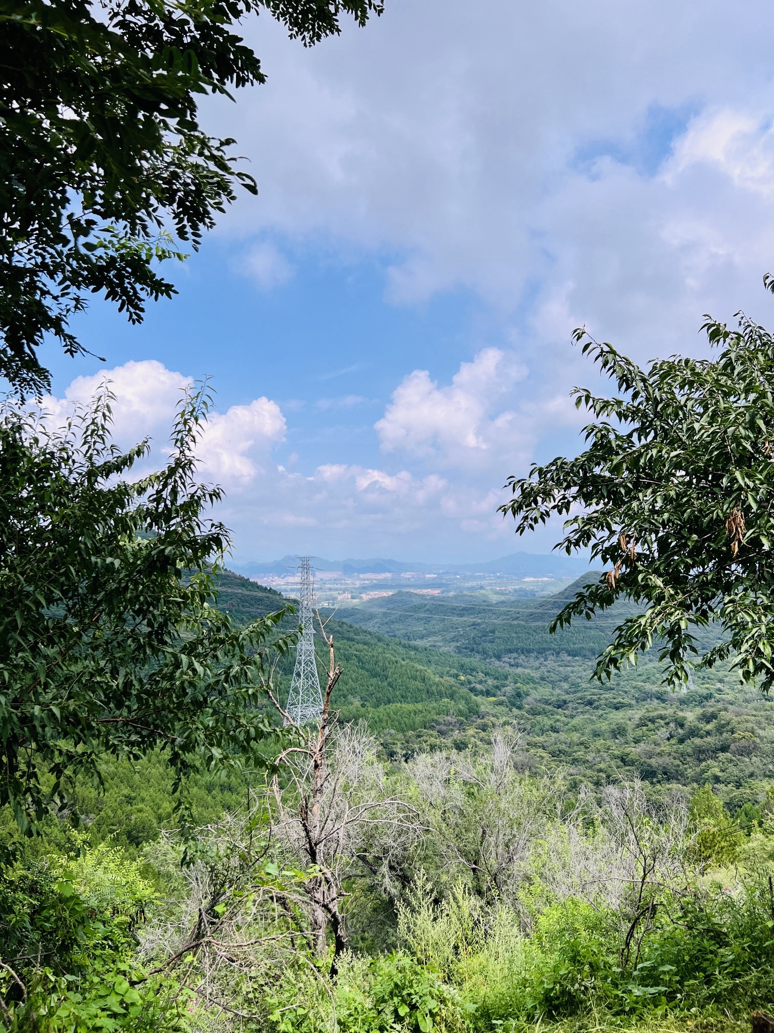 东邵渠镇观景台旅行图片 2