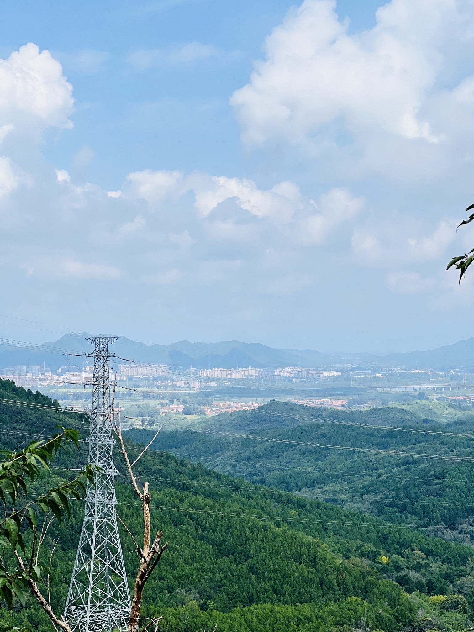 东邵渠镇观景台旅行图片 3