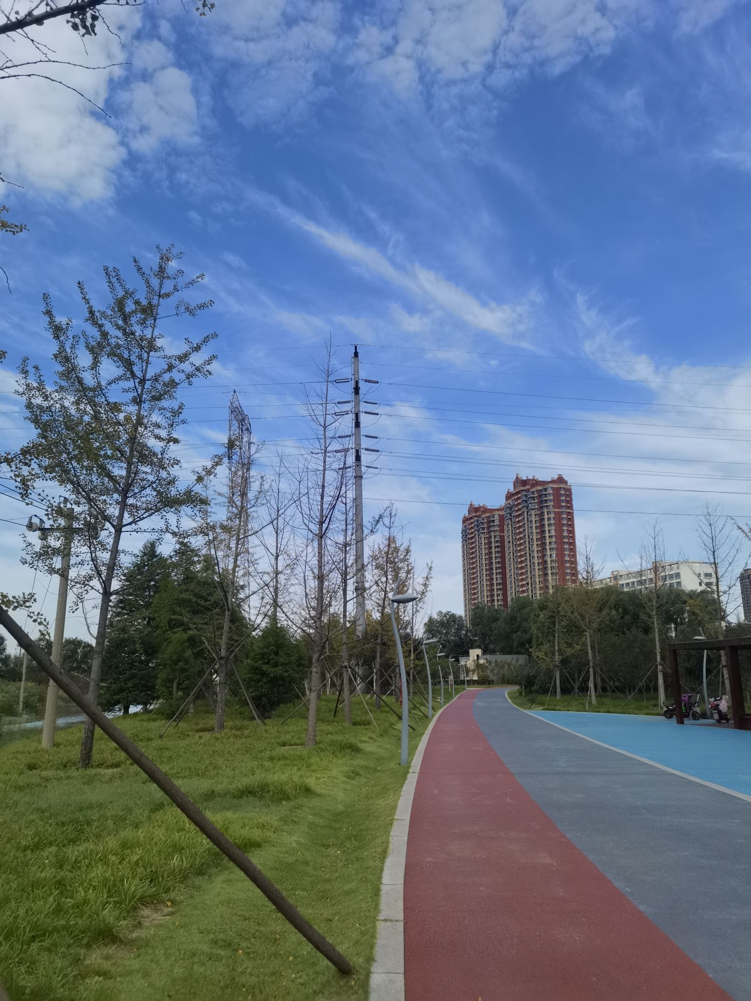 市民公园旅行图片 1