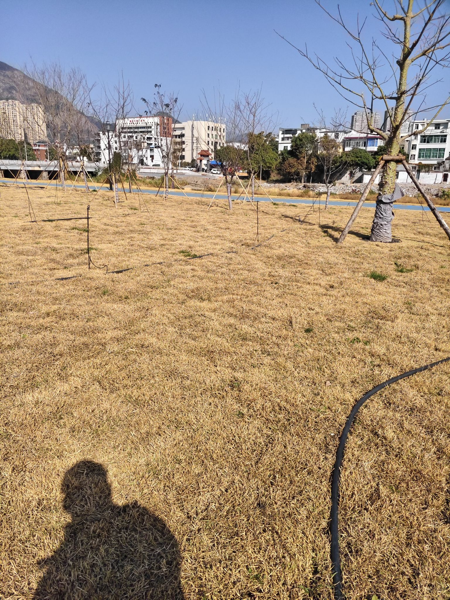 颐景公园旅行图片 3
