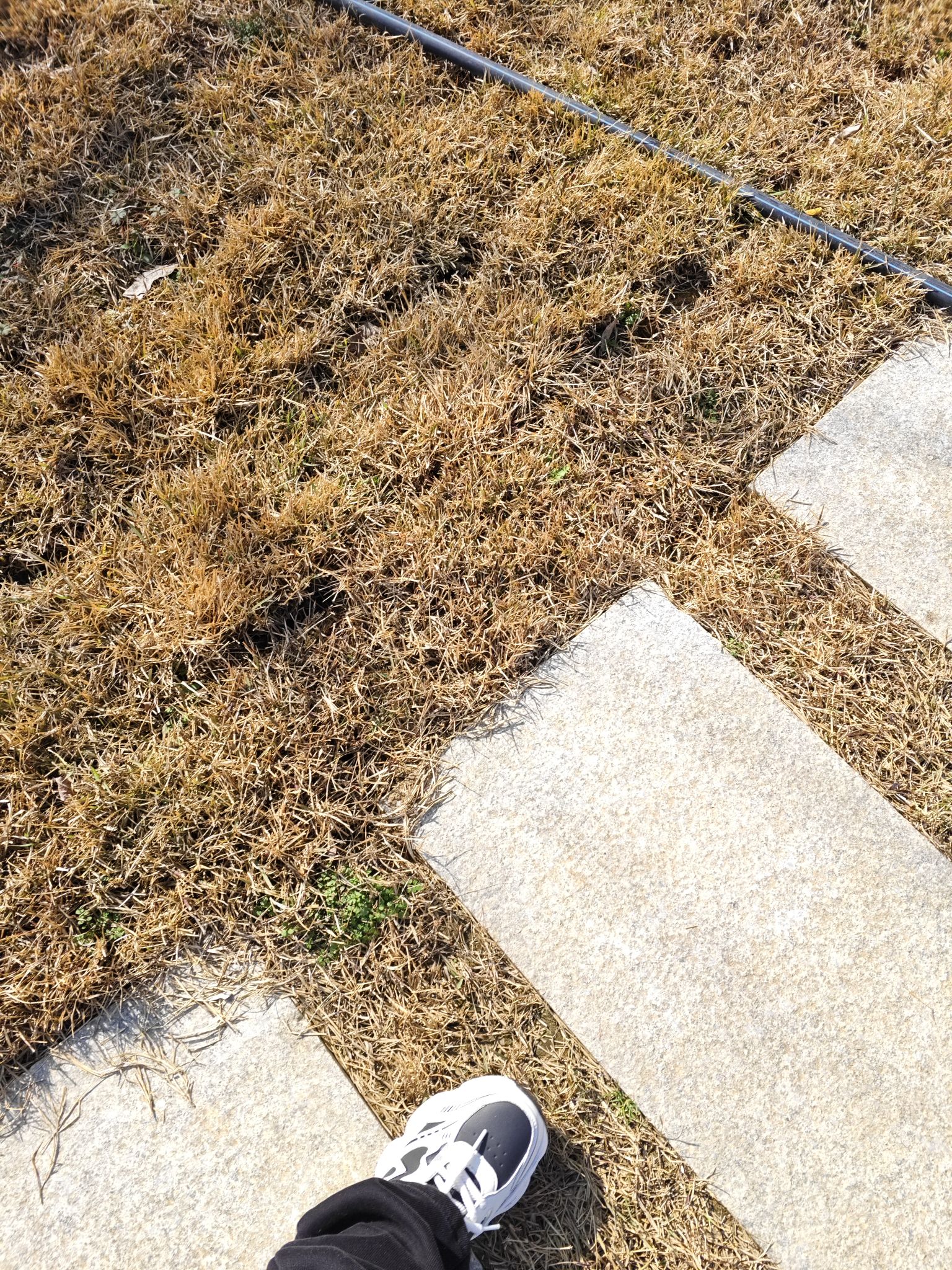 颐景公园旅行图片 2