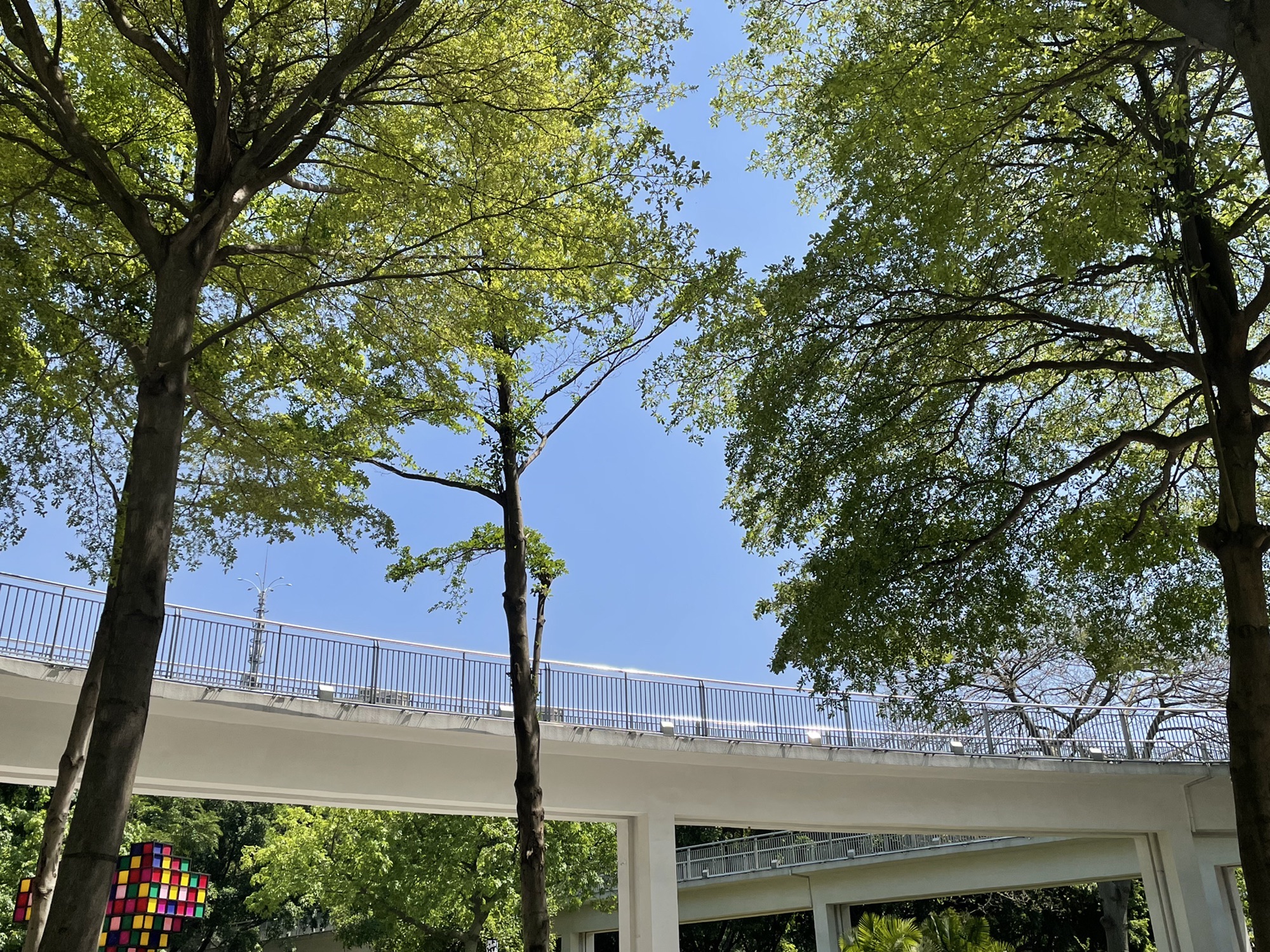 千灯湖体育公园旅行图片 1