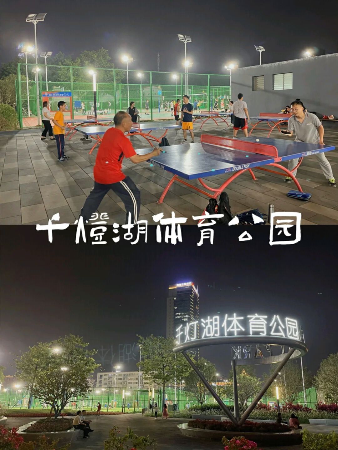 千灯湖体育公园旅行图片 1