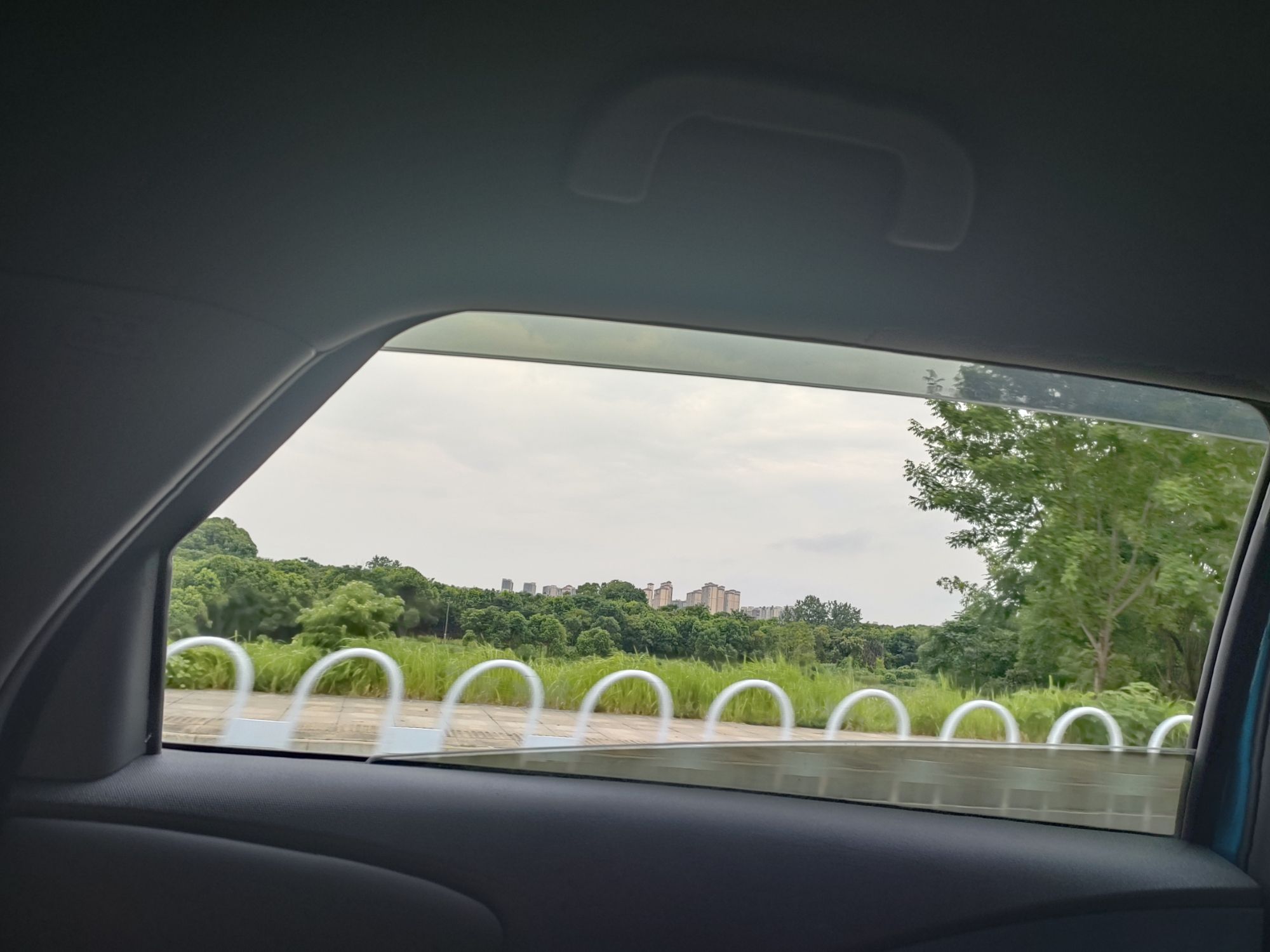 千灯湖体育公园旅行图片 2