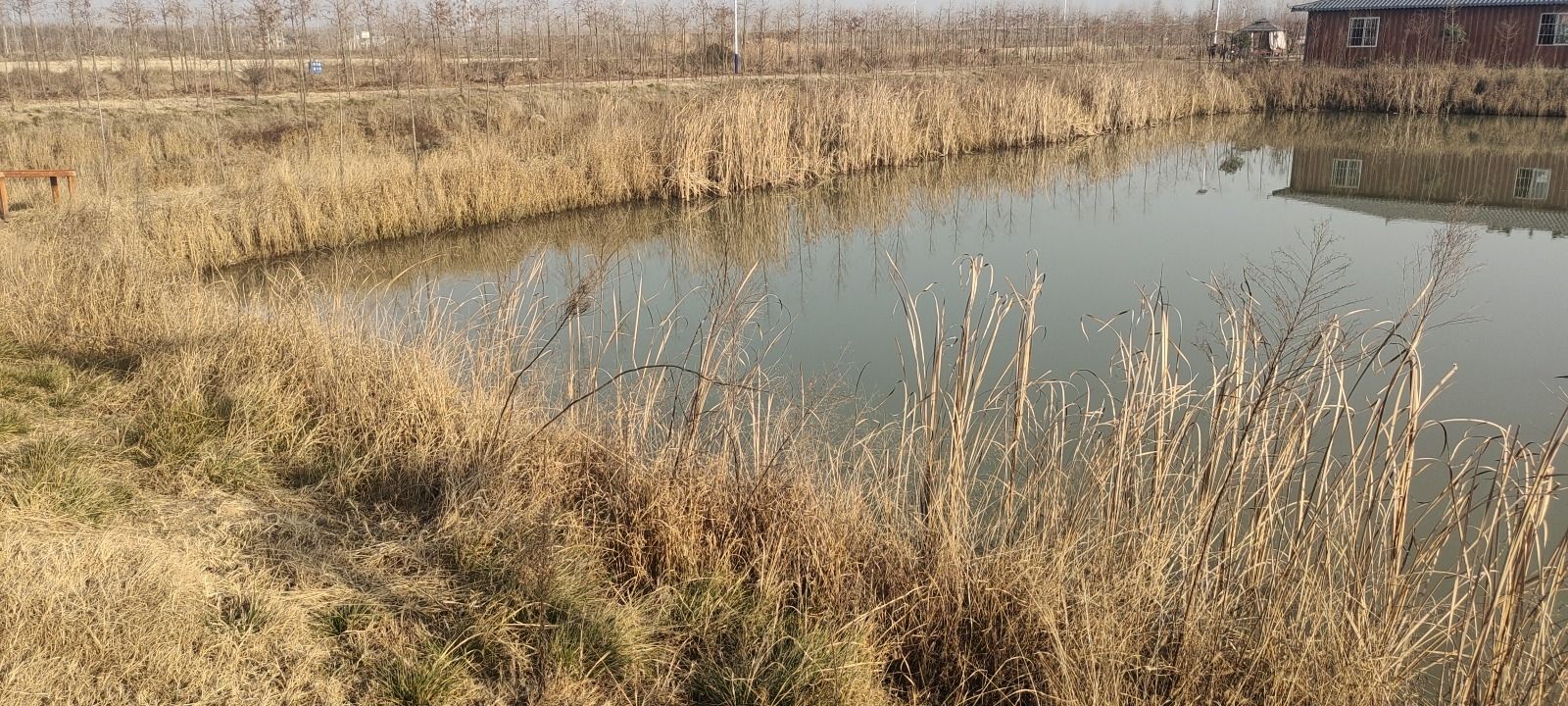 牛旦湾田园小镇旅行图片 1