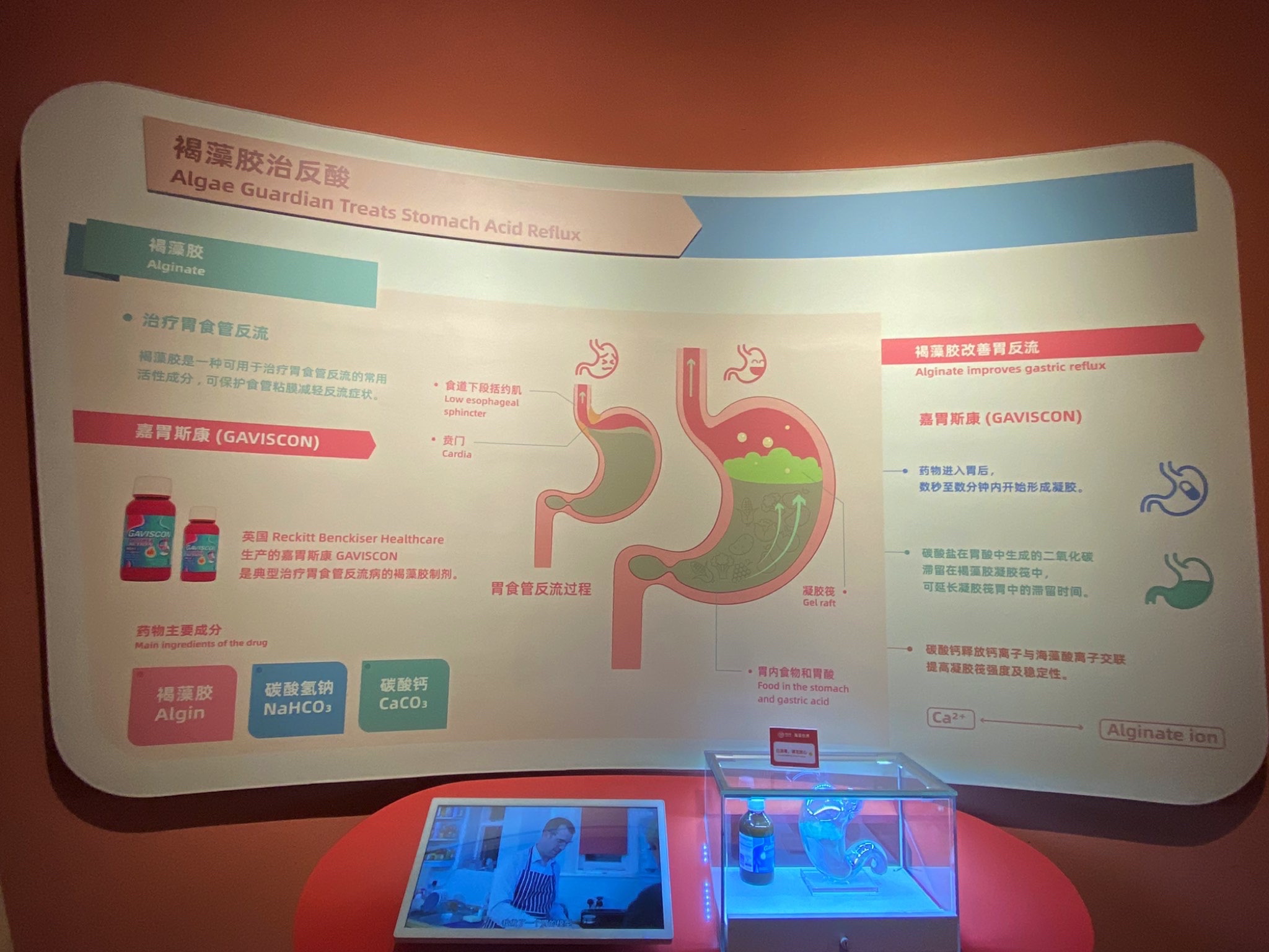 明月海藻世界旅行图片 2