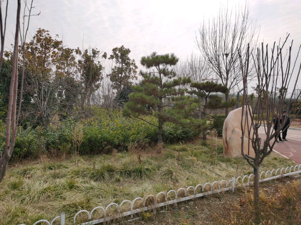 养生科普公园