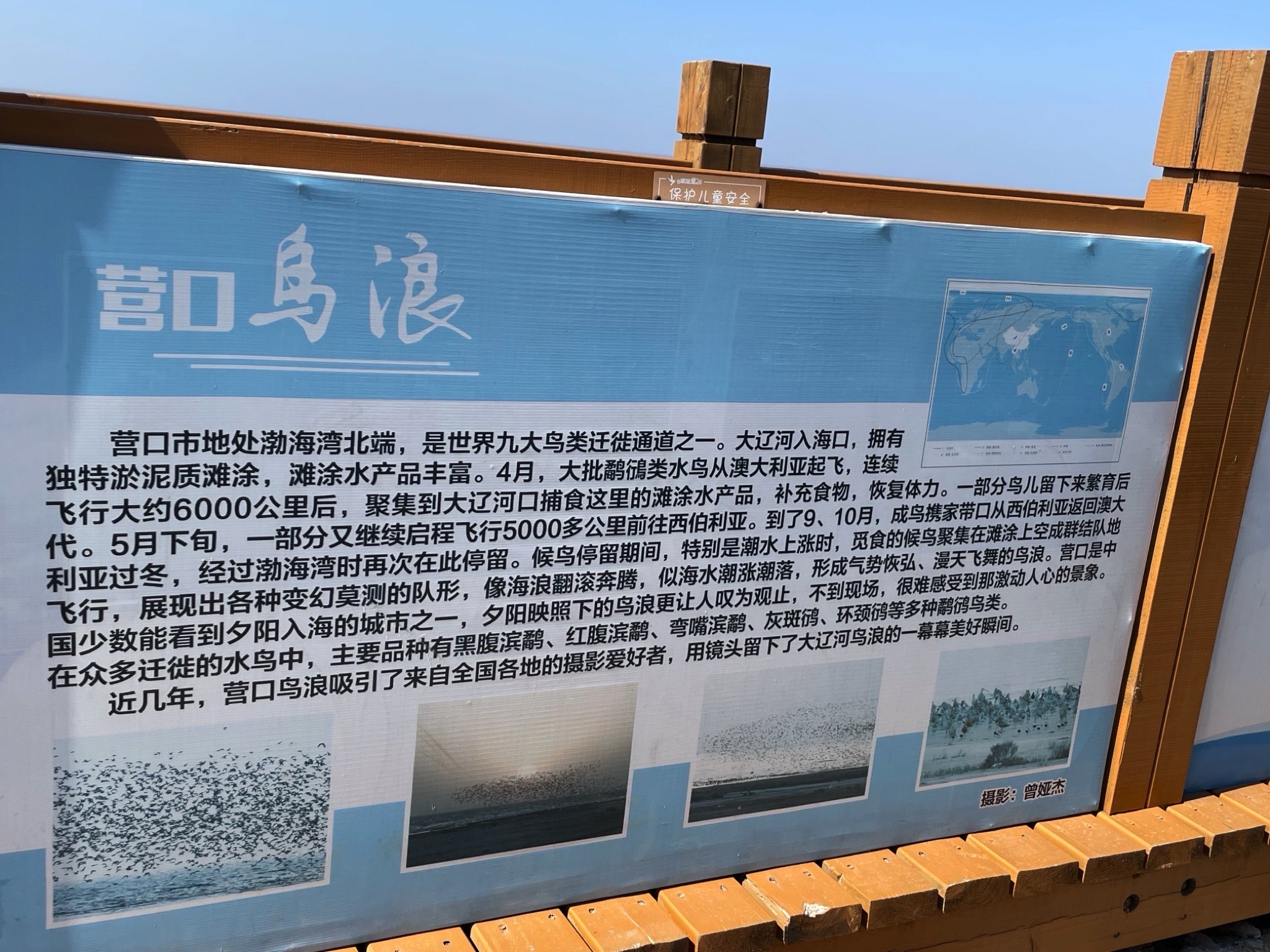 营口鸟浪广场旅行图片 1
