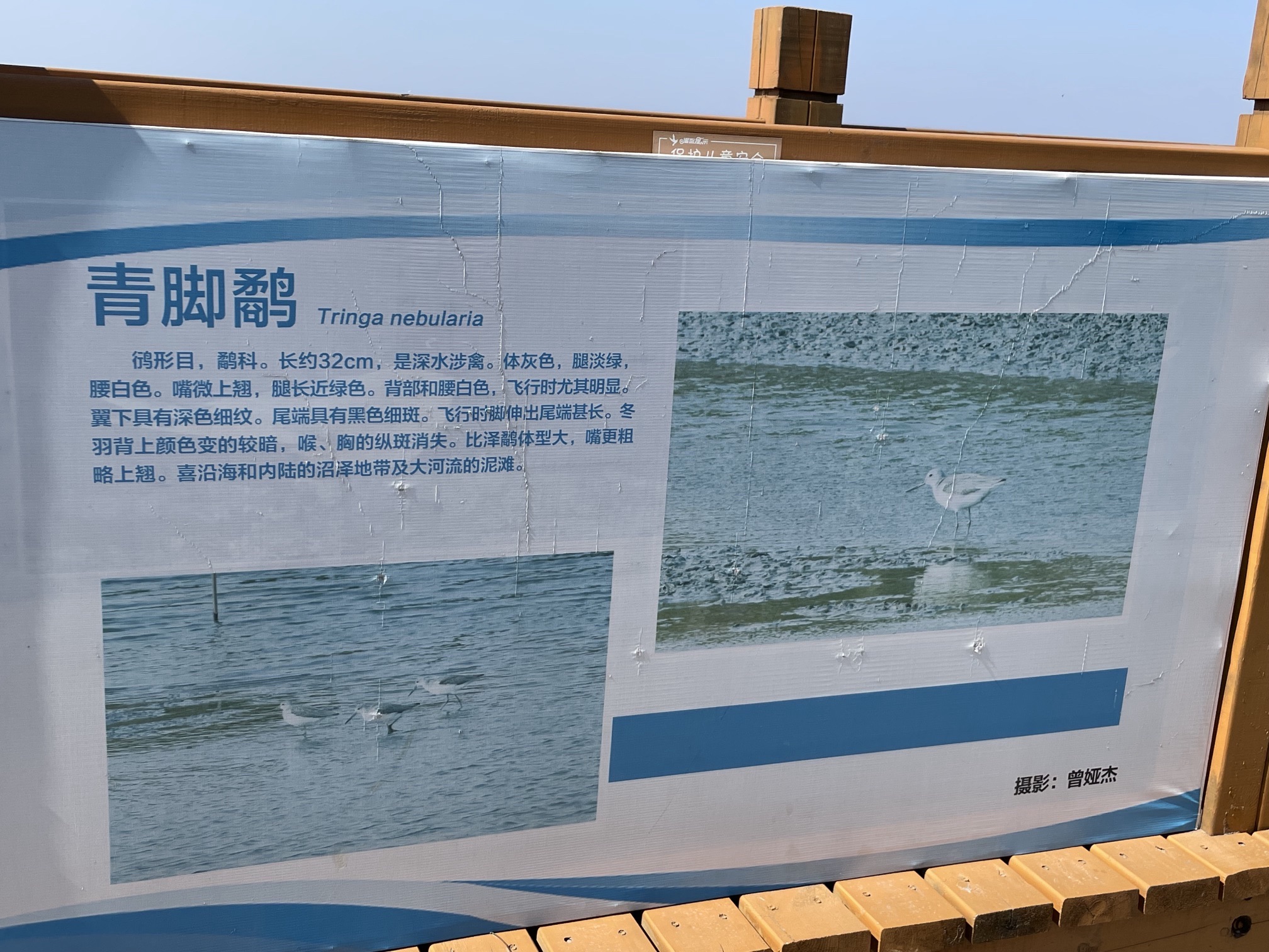 营口鸟浪广场旅行图片 3