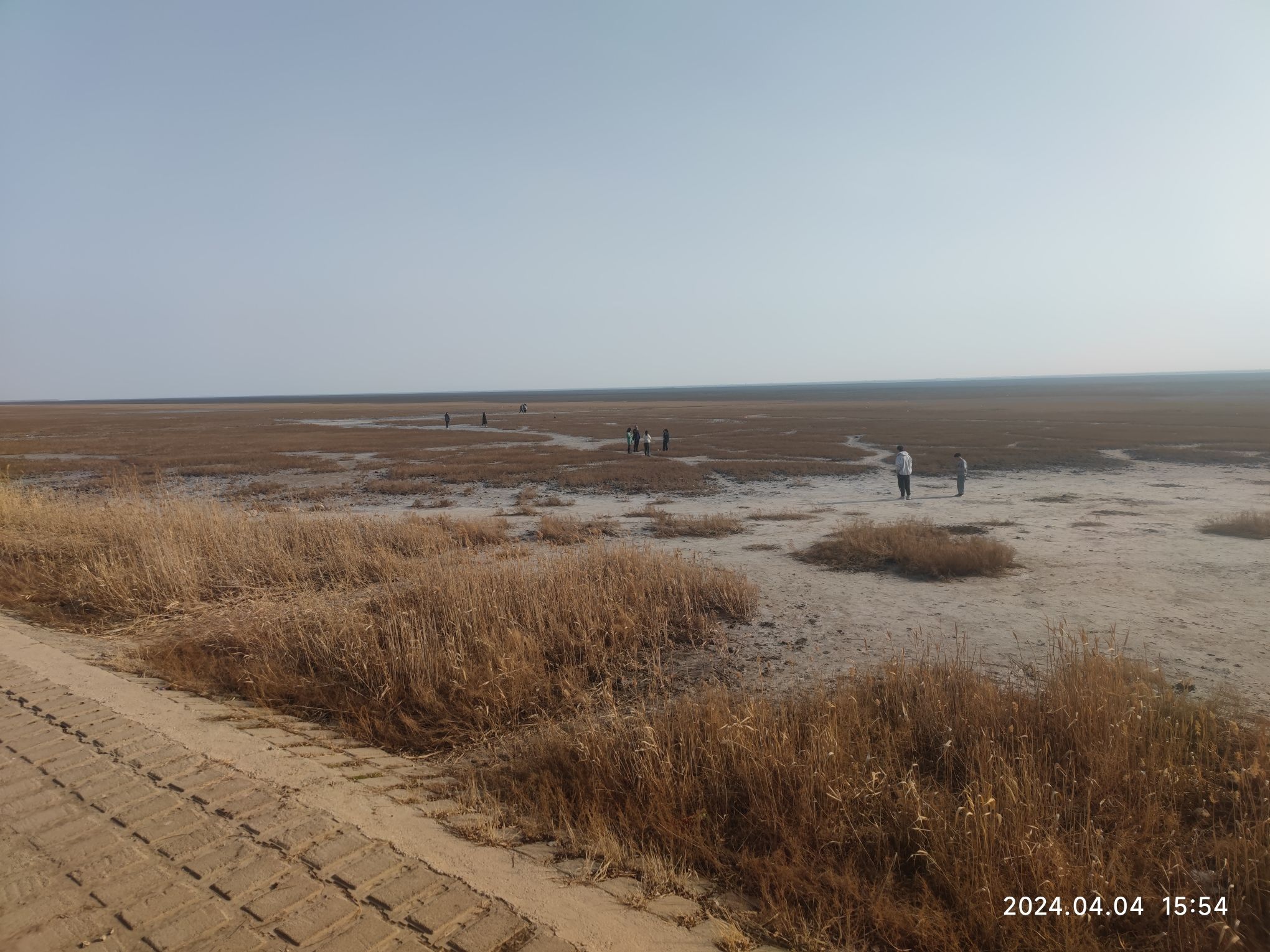 营口鸟浪广场旅行图片 3