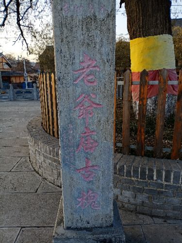 黄河文化园旅行图片 2