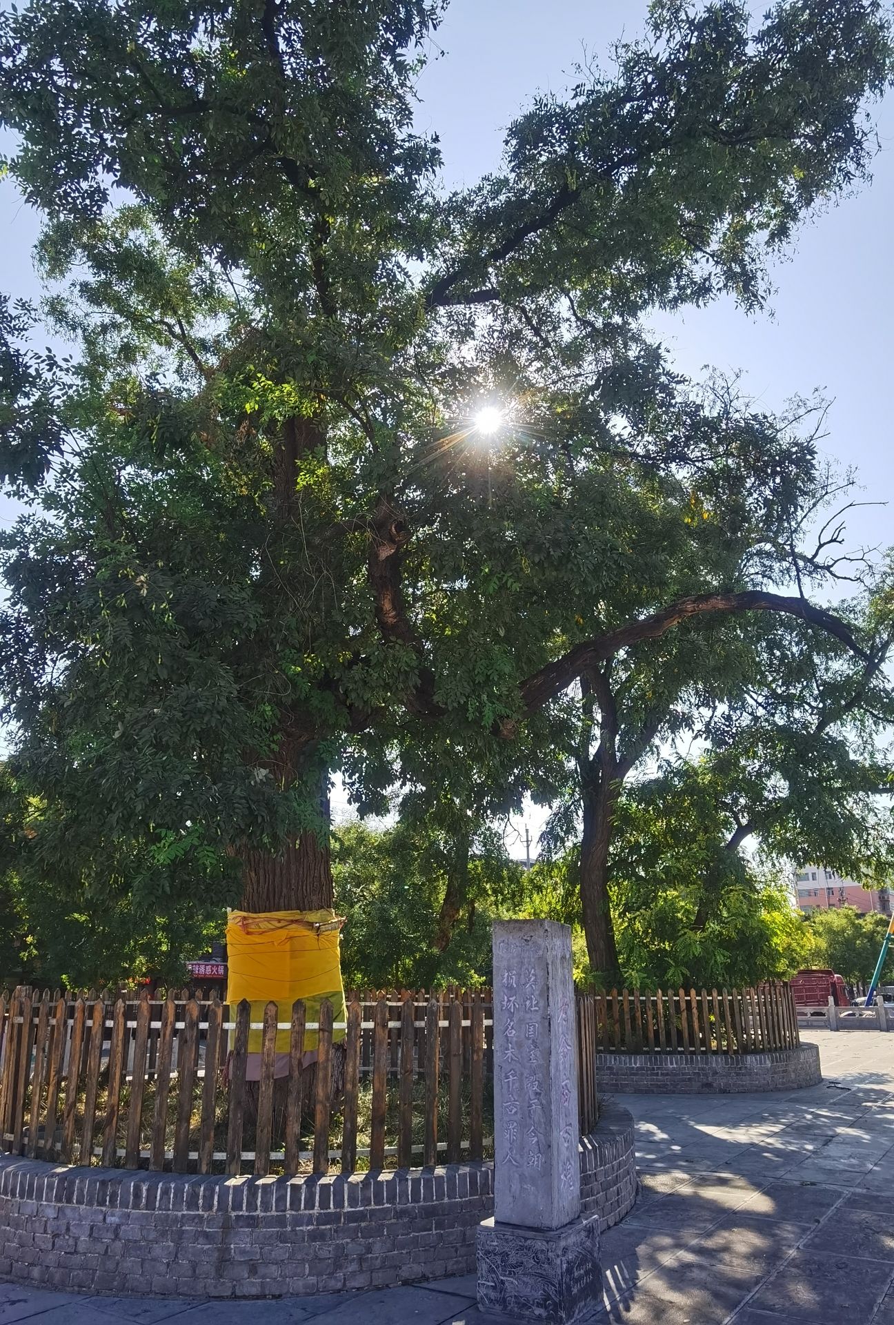 黄河文化园旅行图片 2