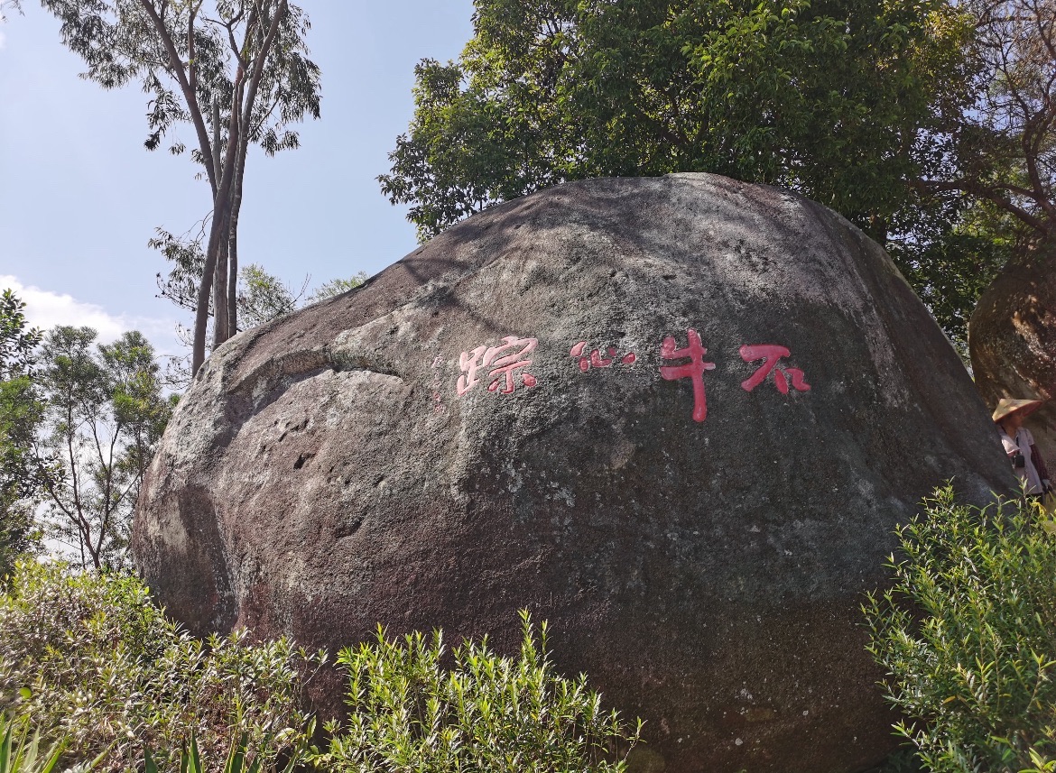 石牛山森林公园旅行图片 3