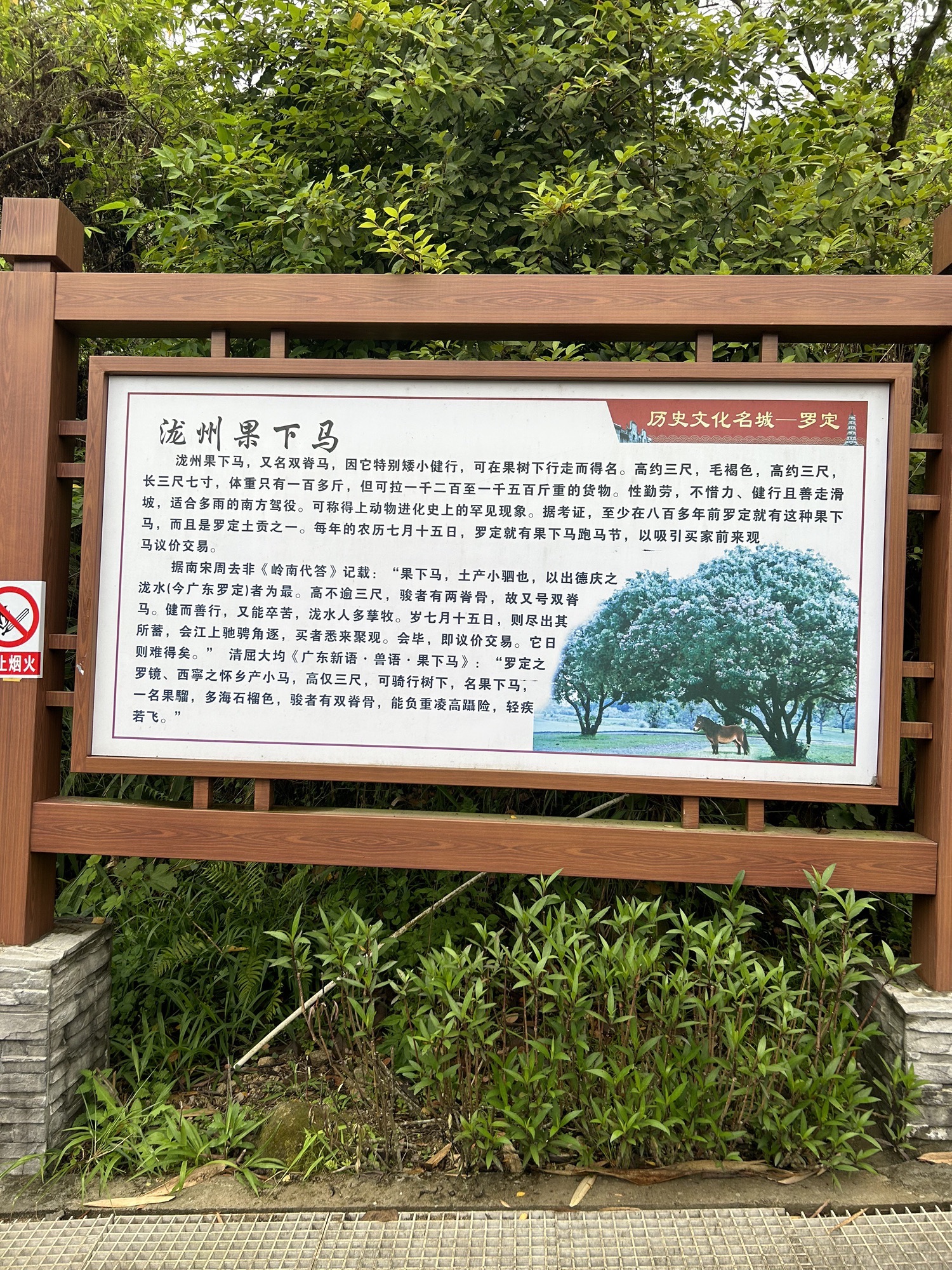 石牛山森林公园旅行图片 3