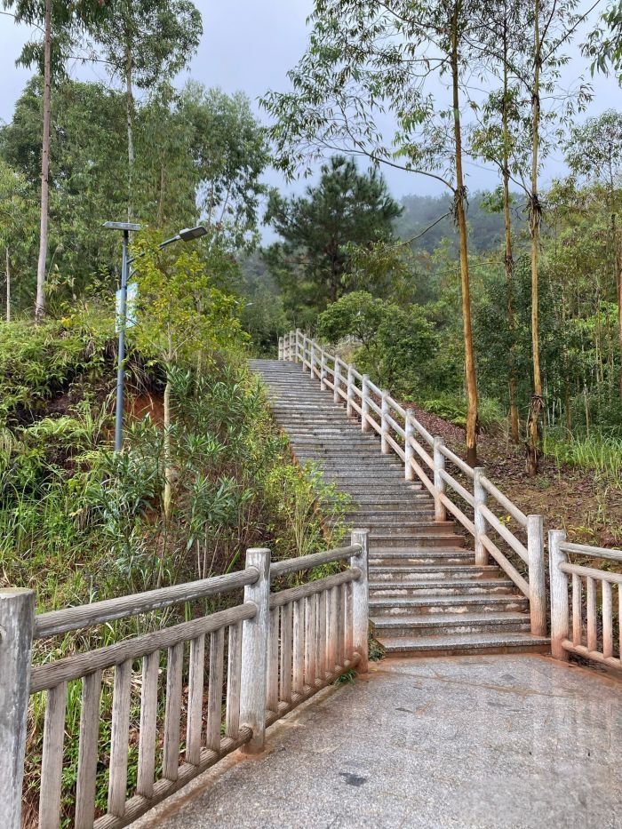 石牛山森林公园旅行图片 2