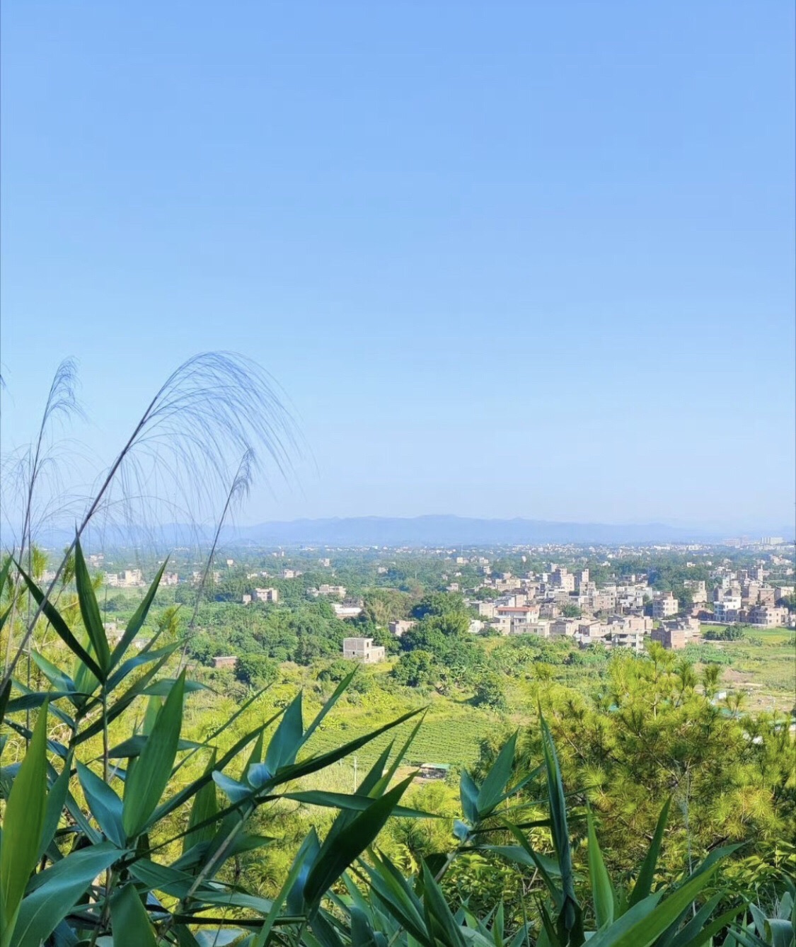 石牛山森林公园旅行图片 2