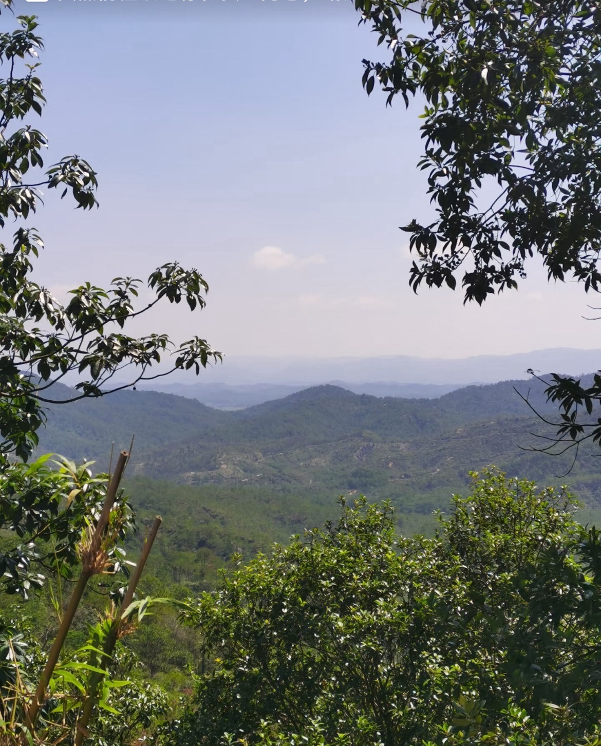 石牛山森林公园旅行图片 1