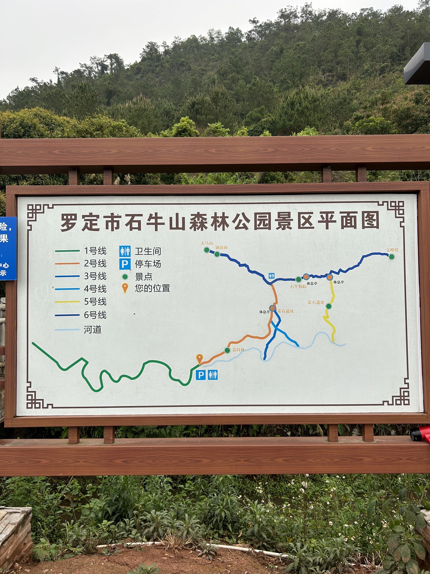 石牛山森林公园旅行图片 1